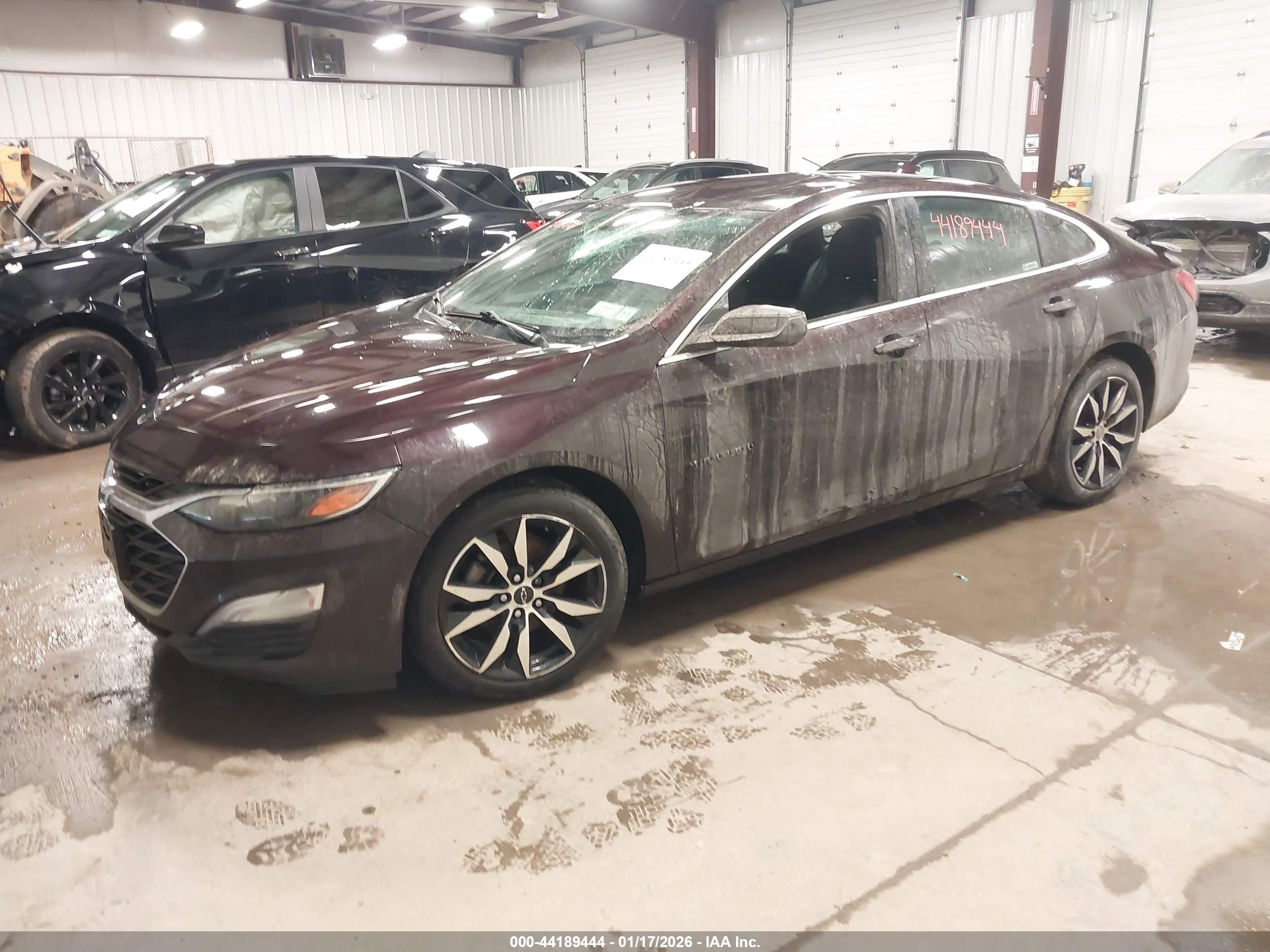 CHEVROLET MALIBU image 2