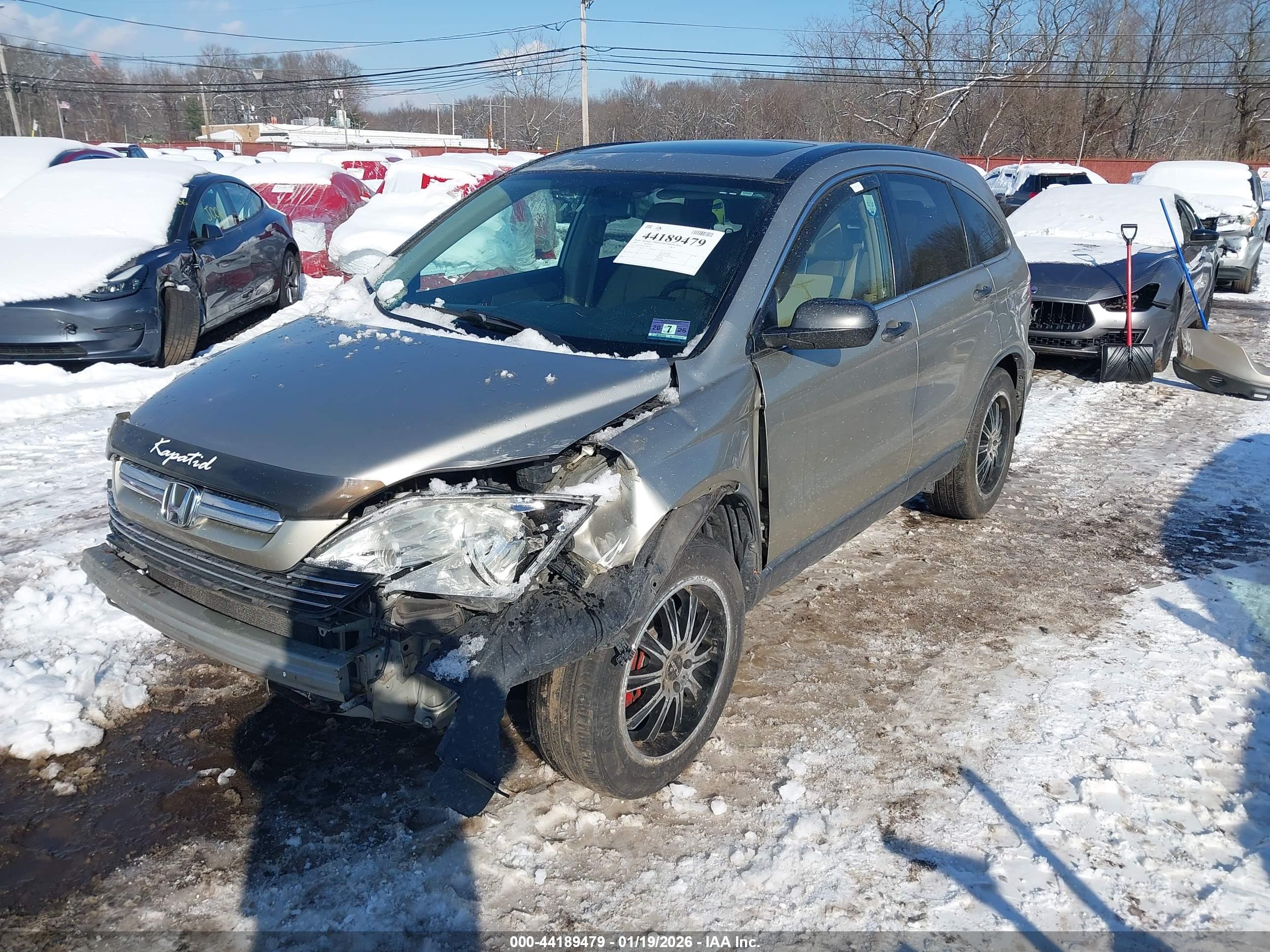 HONDA CR-V image 6