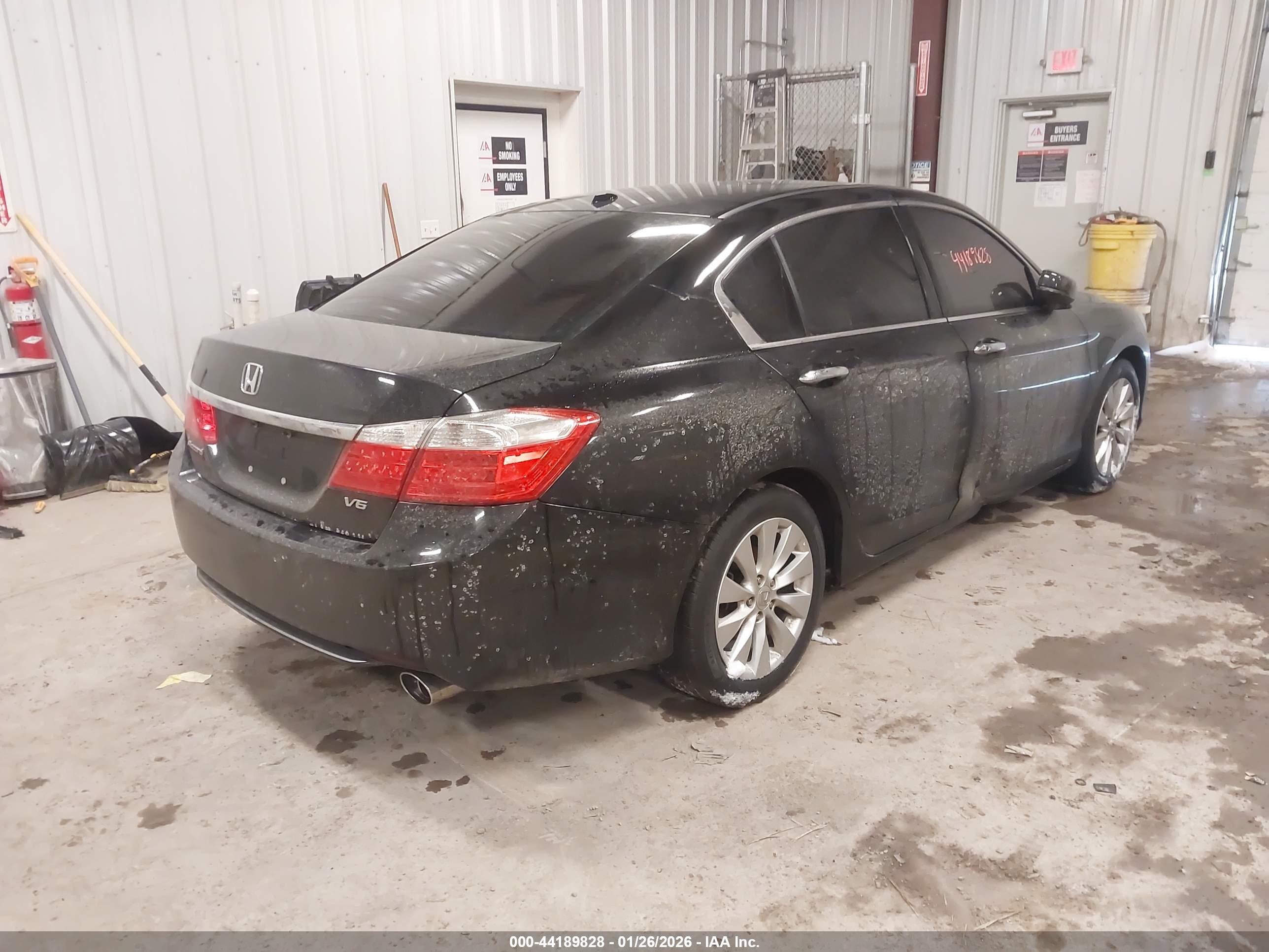 HONDA ACCORD image 4