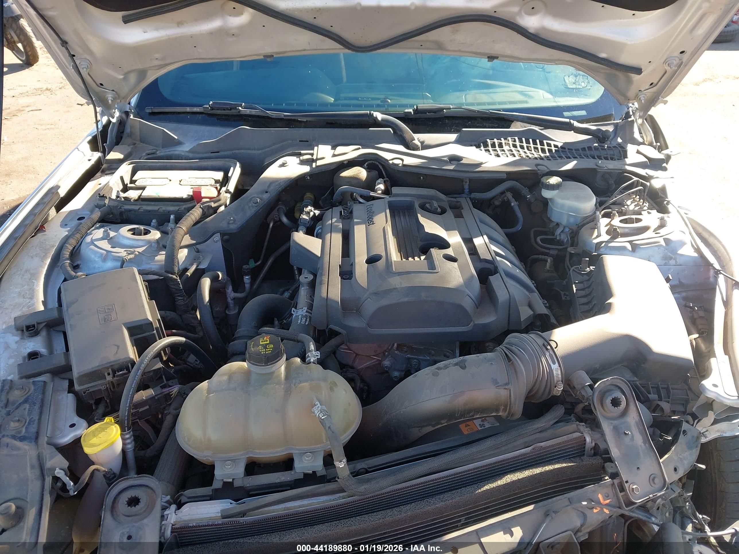 FORD MUSTANG image 10