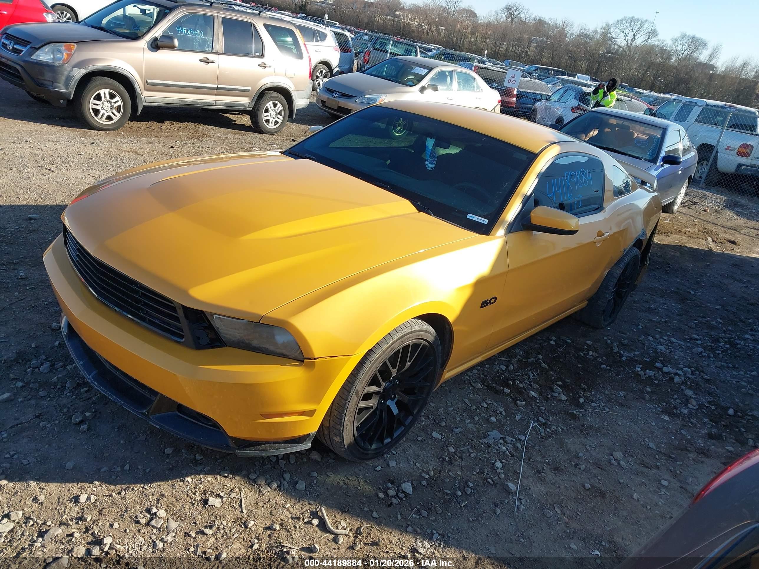 FORD MUSTANG image 2