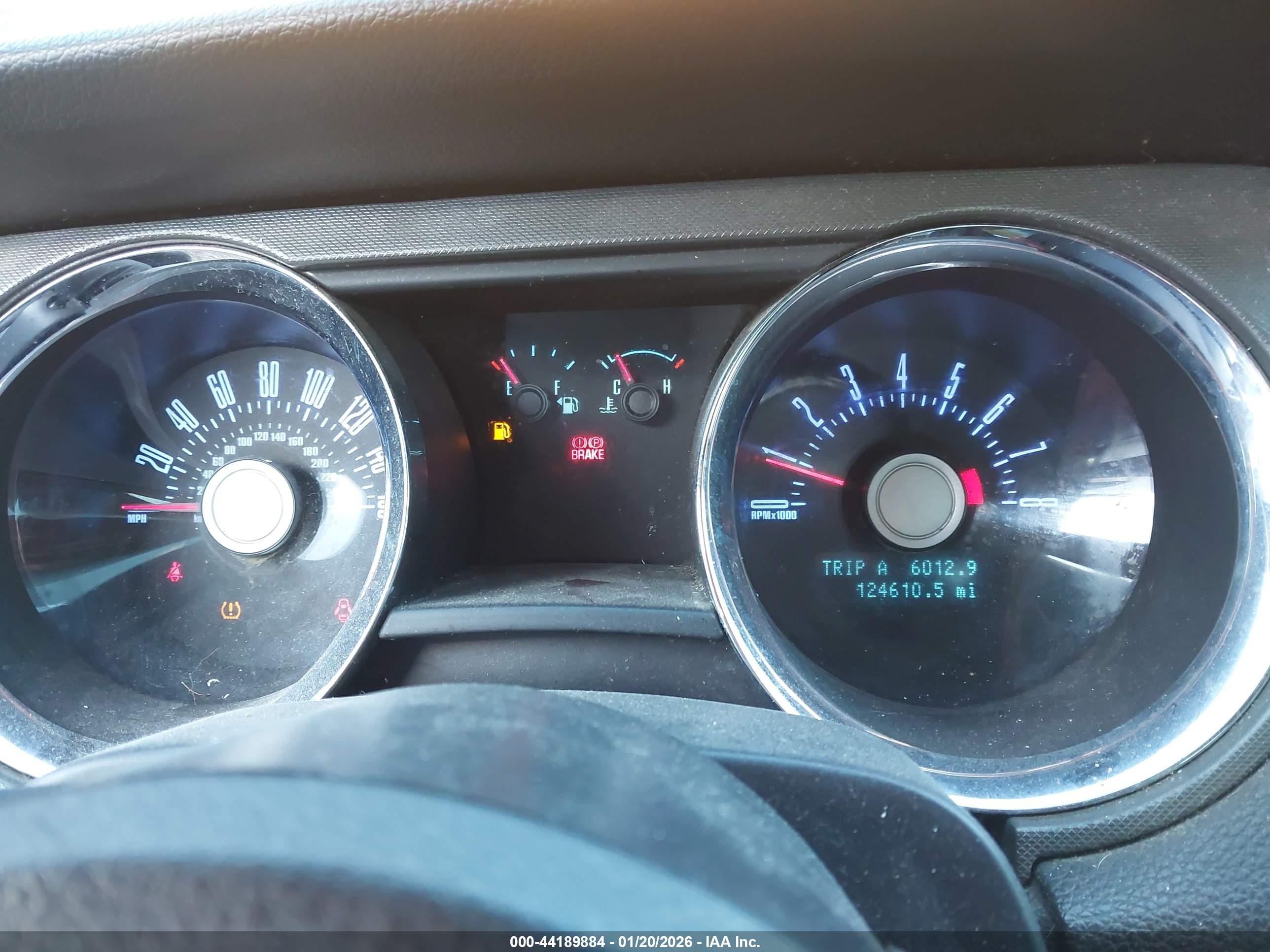 FORD MUSTANG image 7