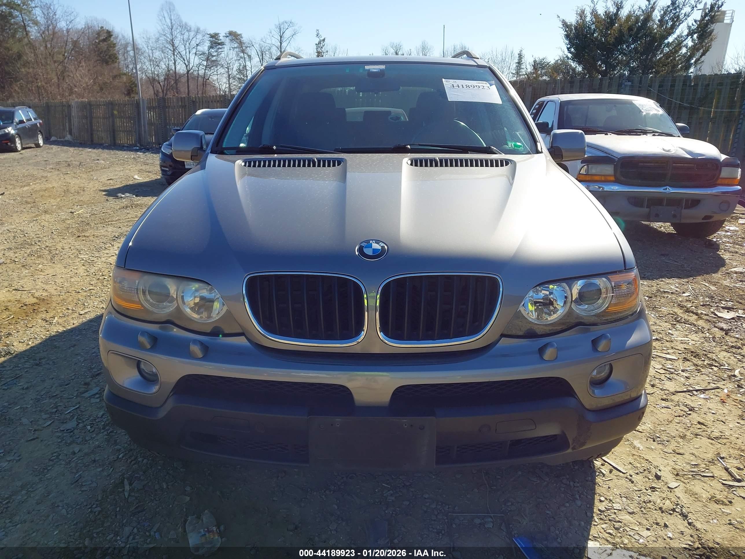 BMW X5 image 6