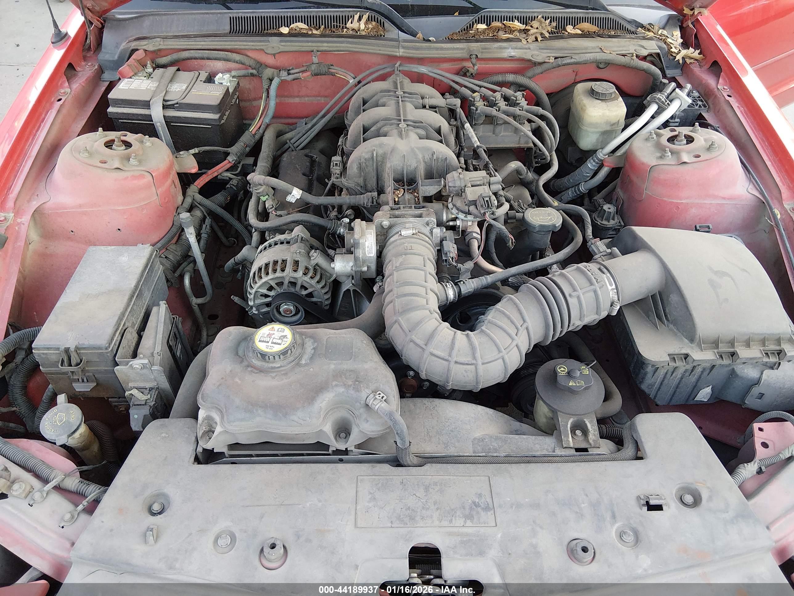 FORD MUSTANG image 10