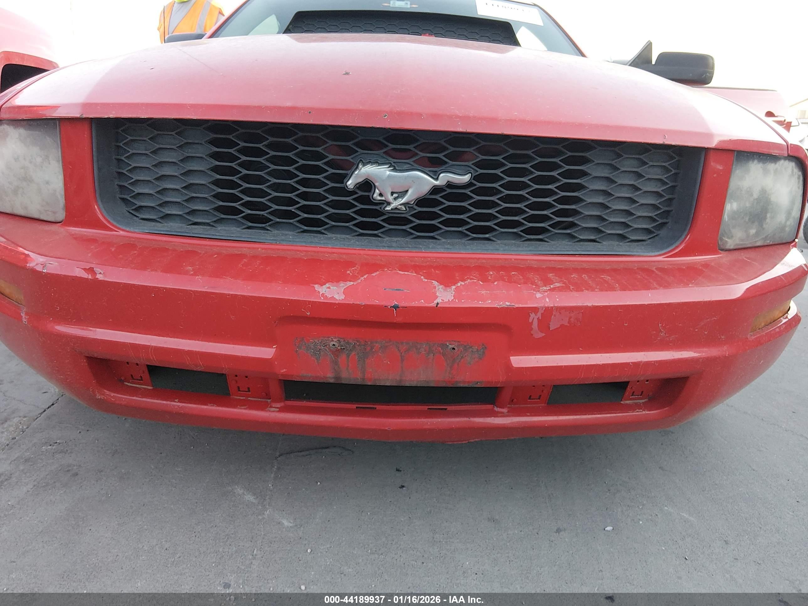 FORD MUSTANG image 6