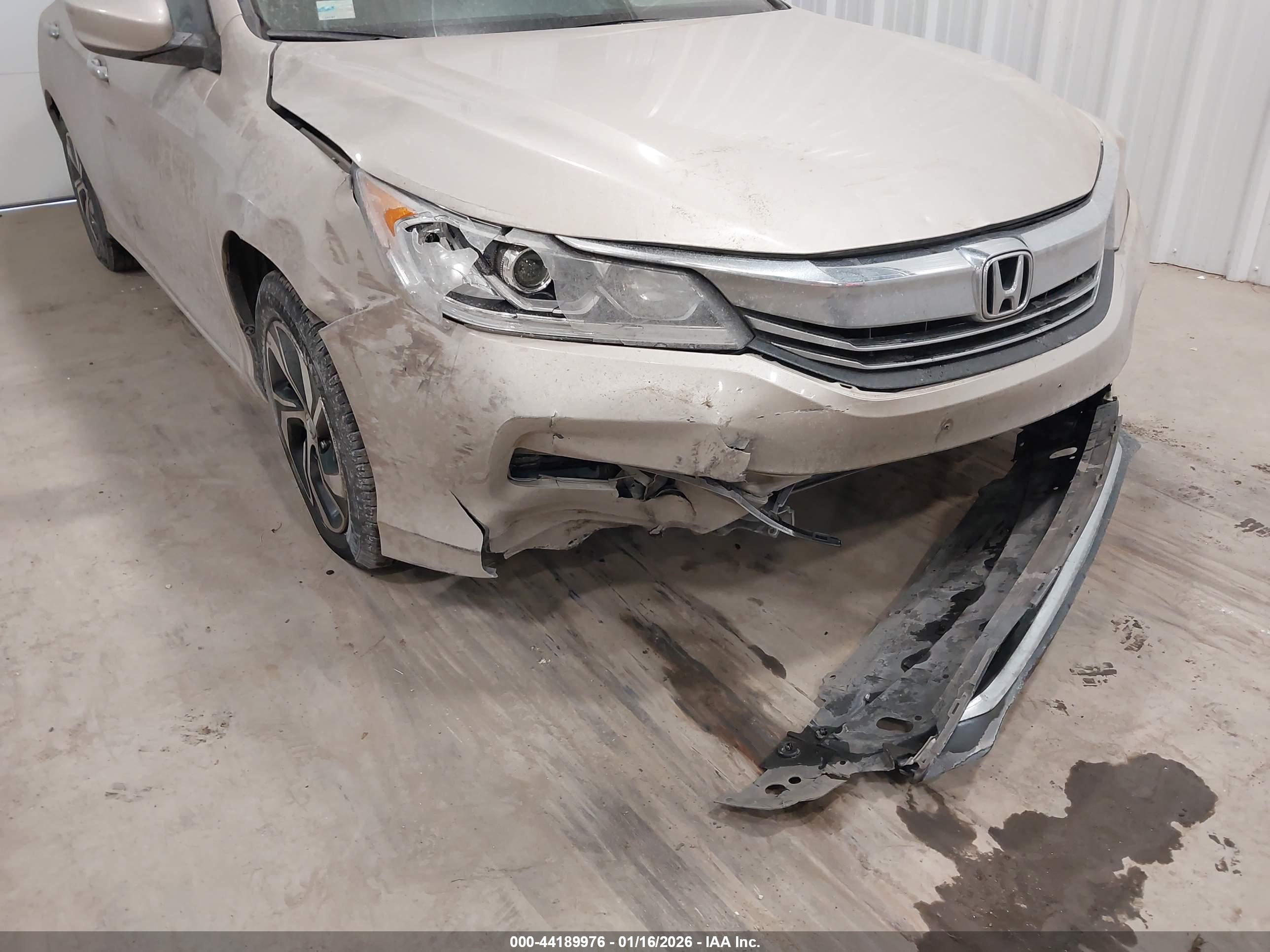 HONDA ACCORD image 6