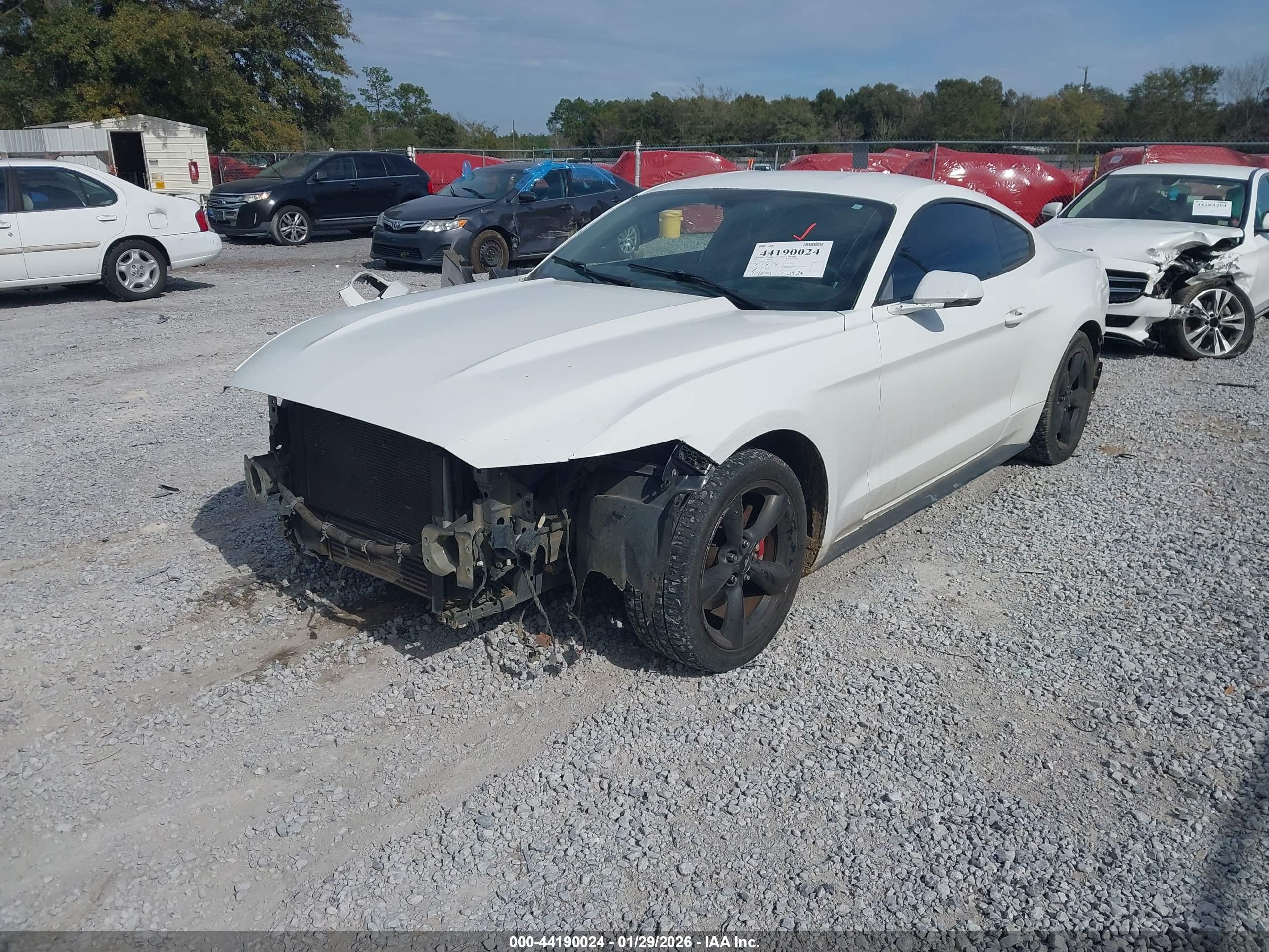 FORD MUSTANG image 2