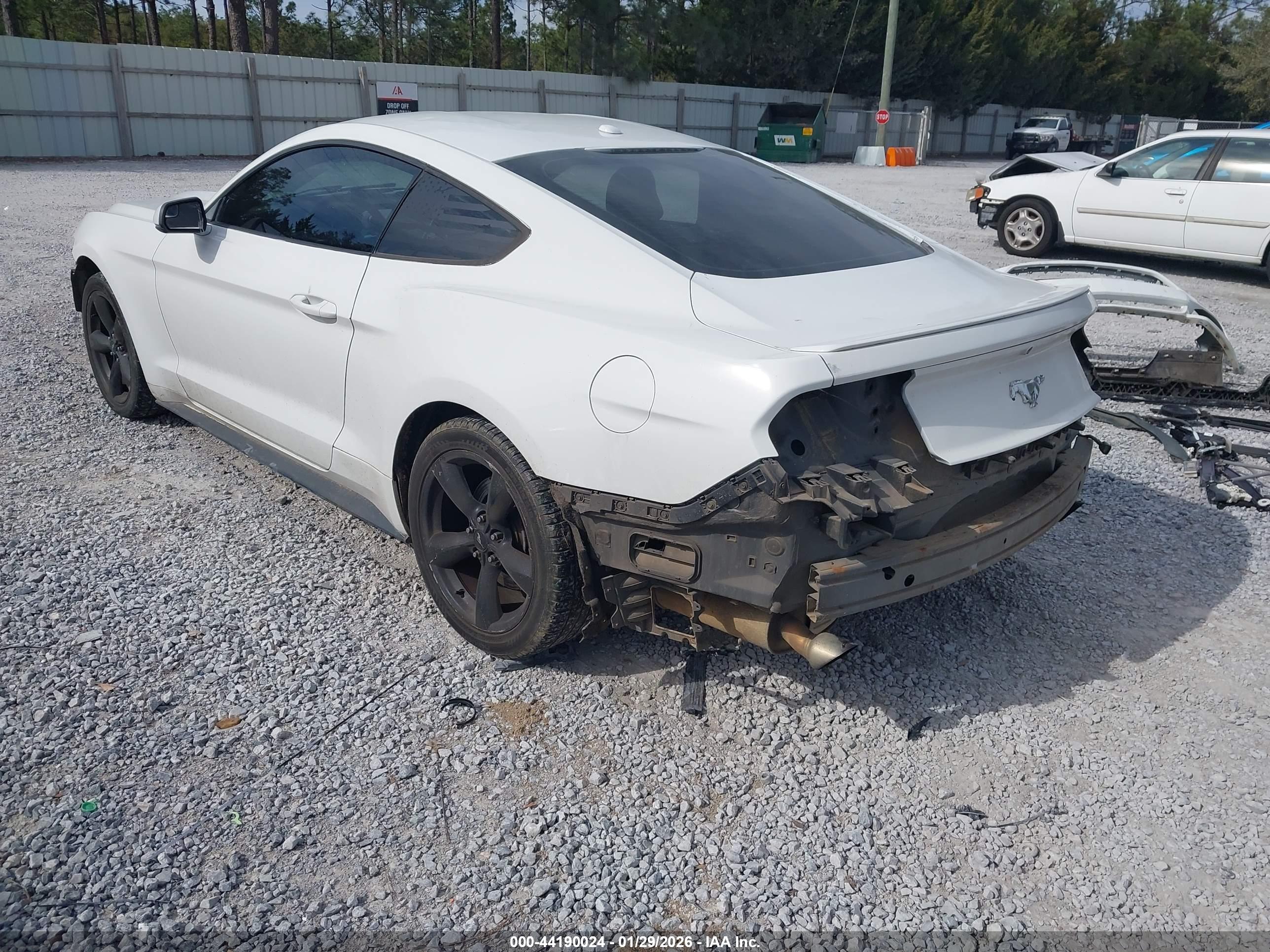 FORD MUSTANG image 3