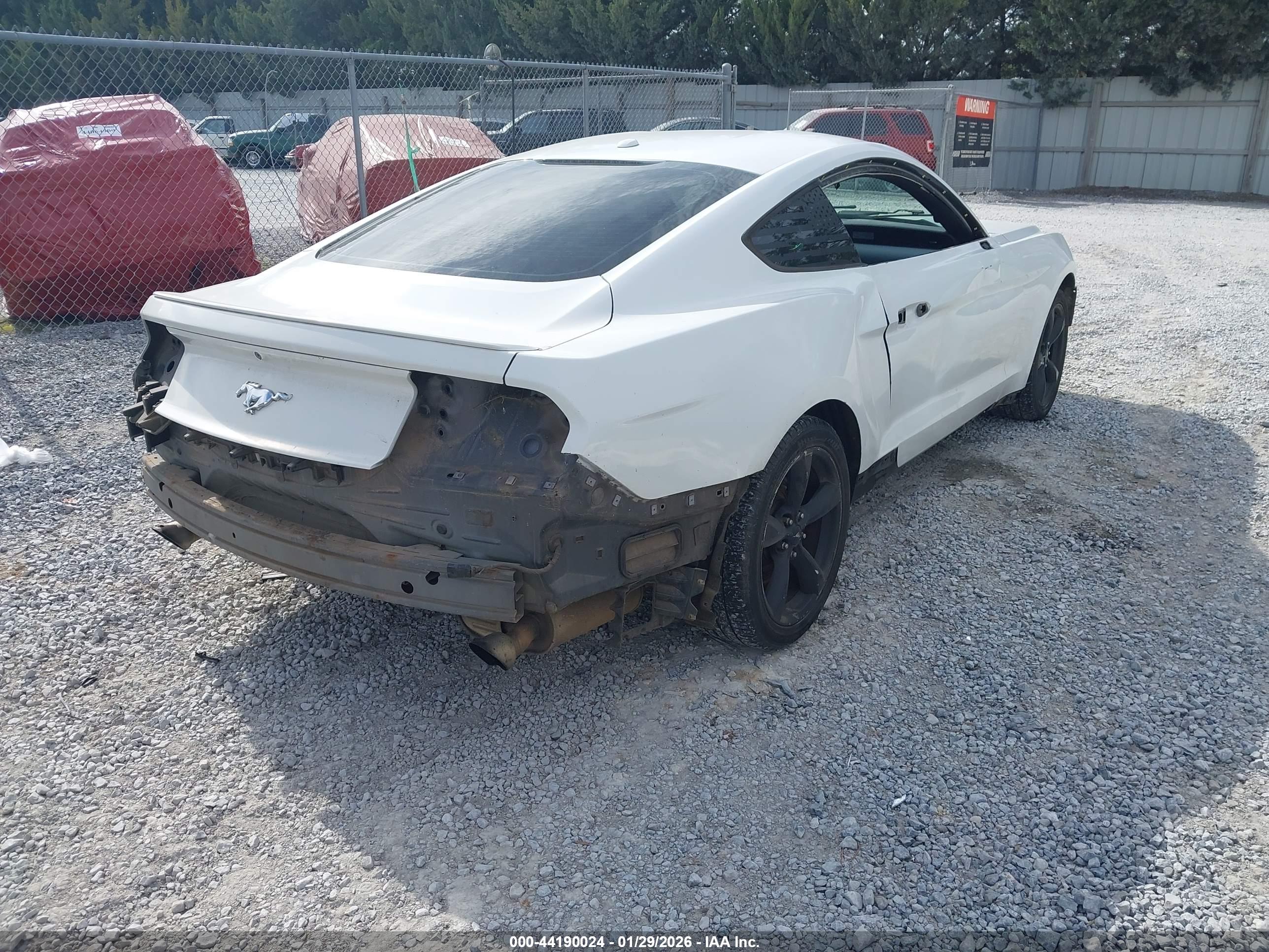 FORD MUSTANG image 4
