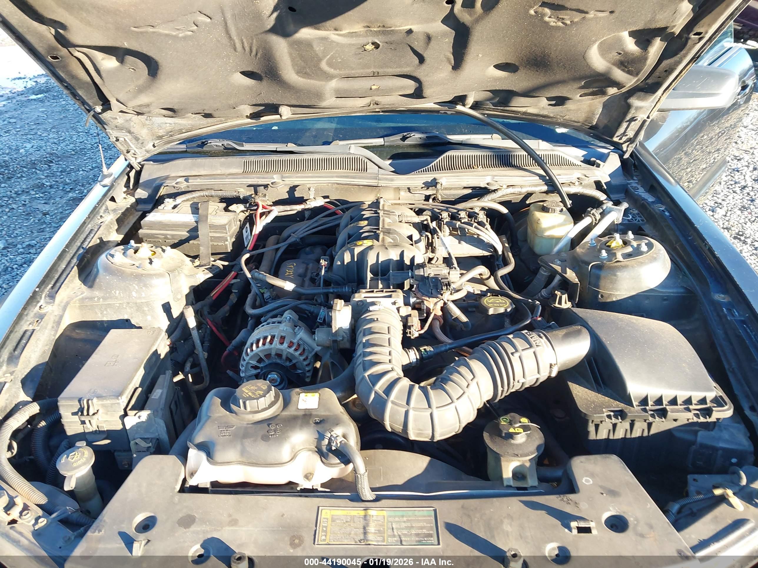 FORD MUSTANG image 10