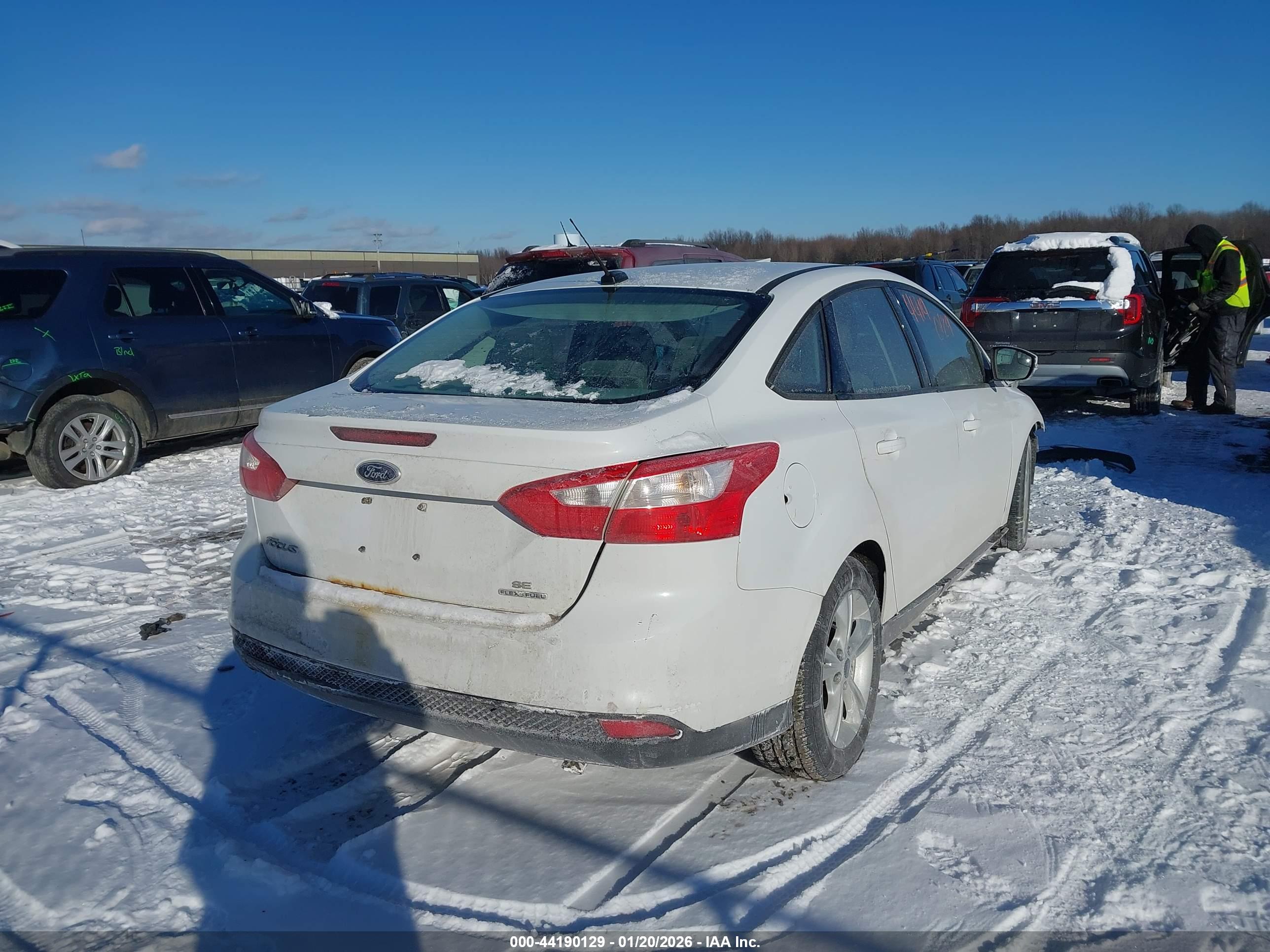 FORD FOCUS image 4
