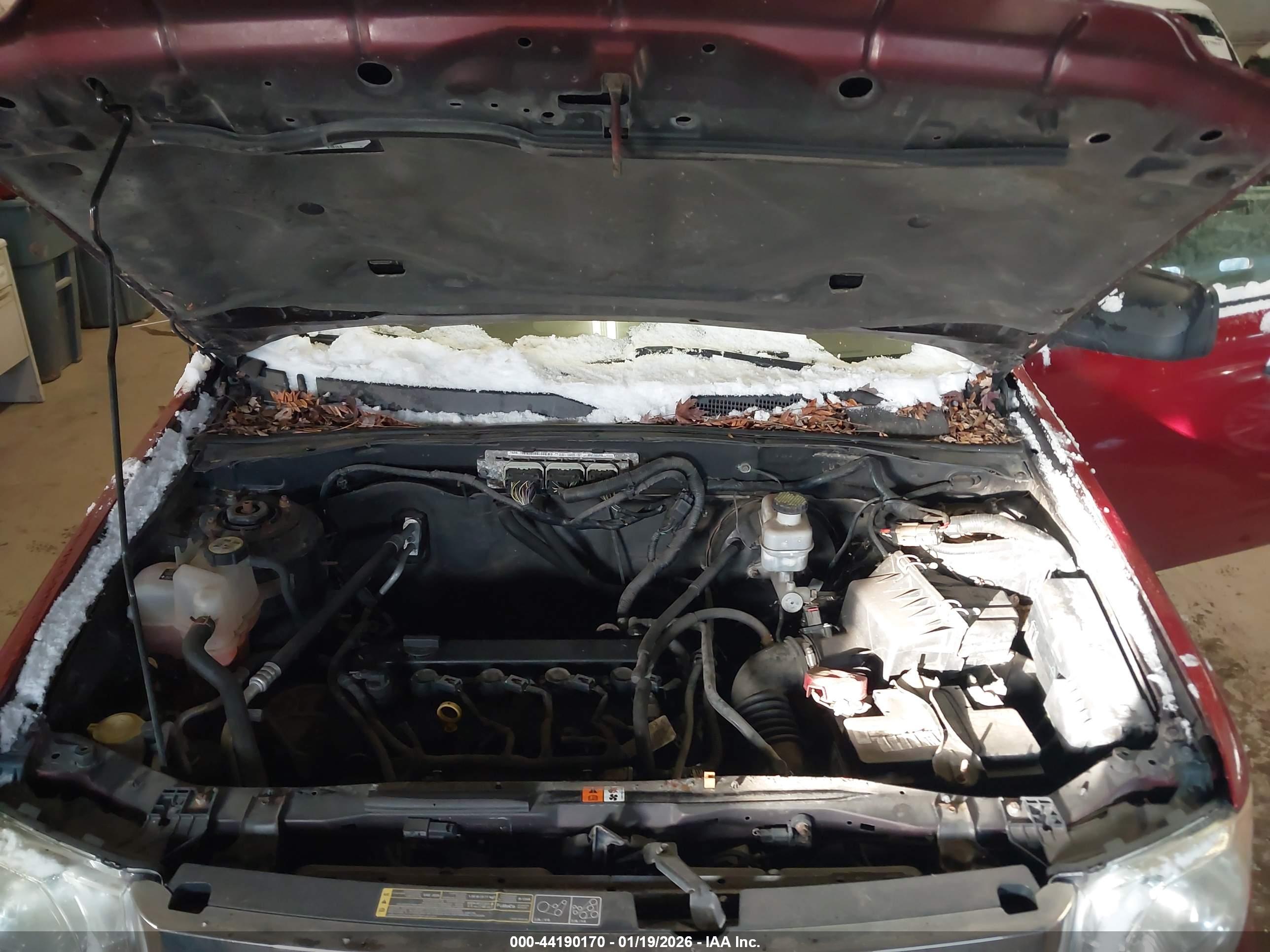FORD ESCAPE image 10