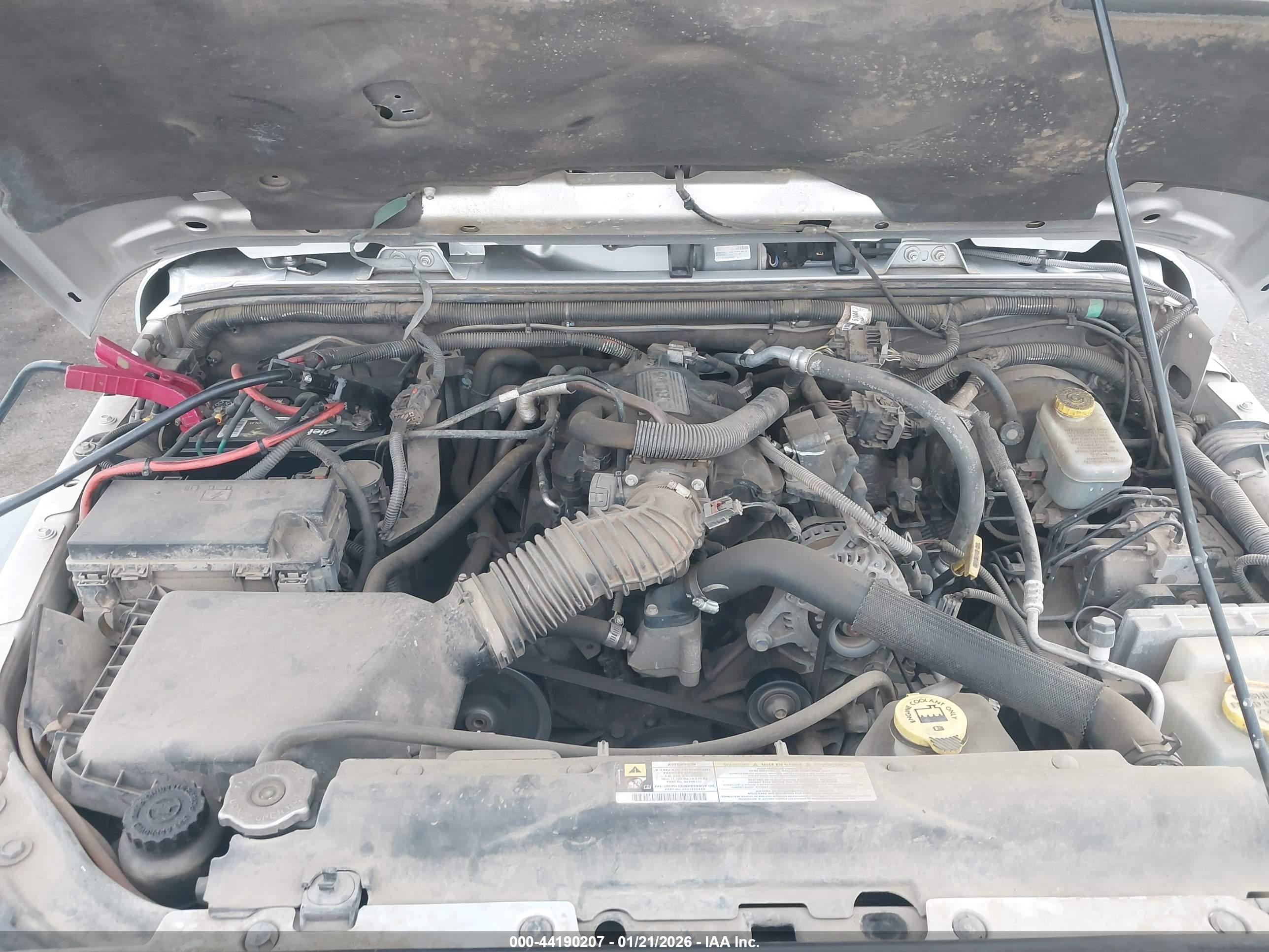 JEEP WRANGLER image 10