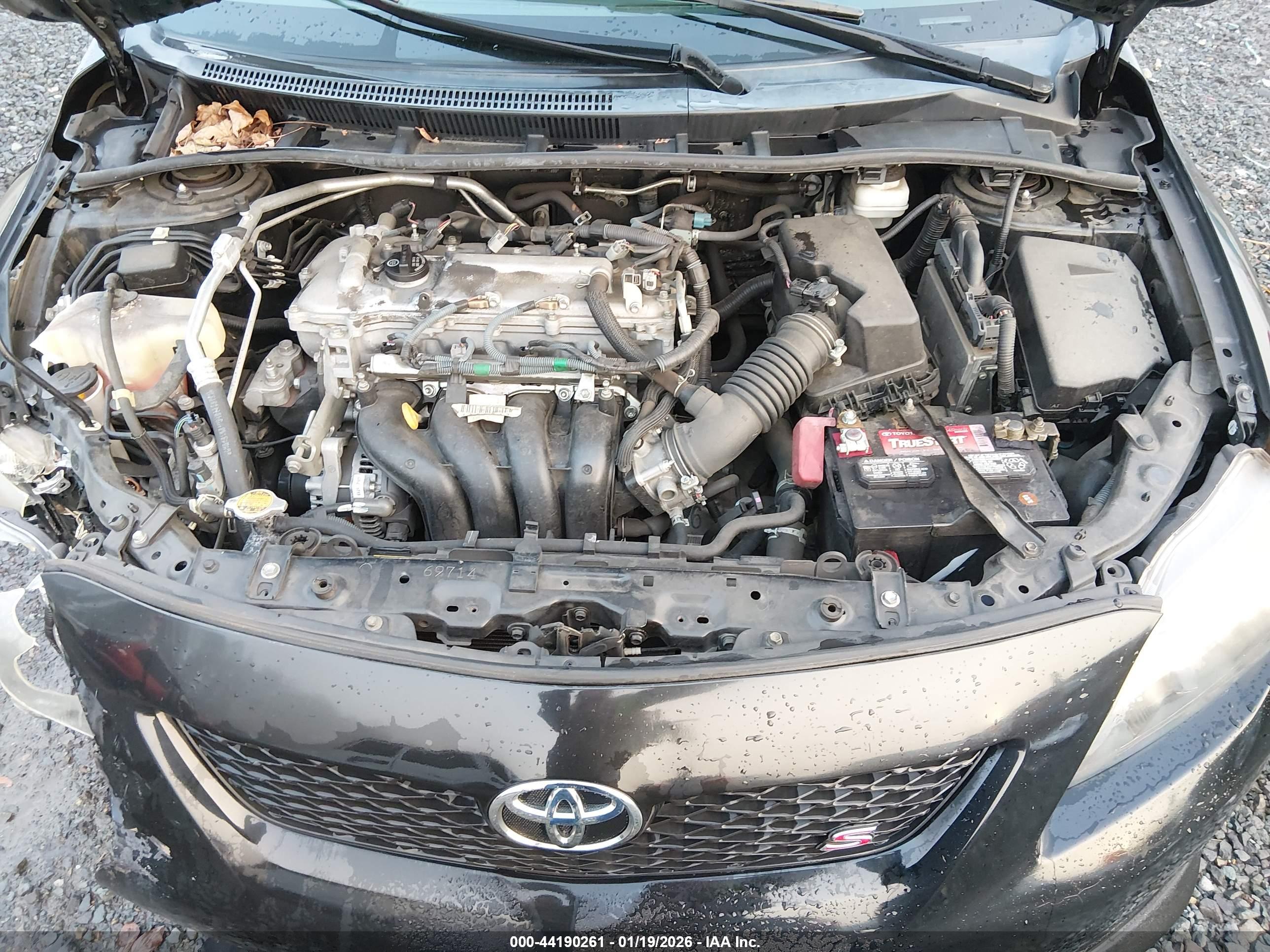 TOYOTA COROLLA image 10
