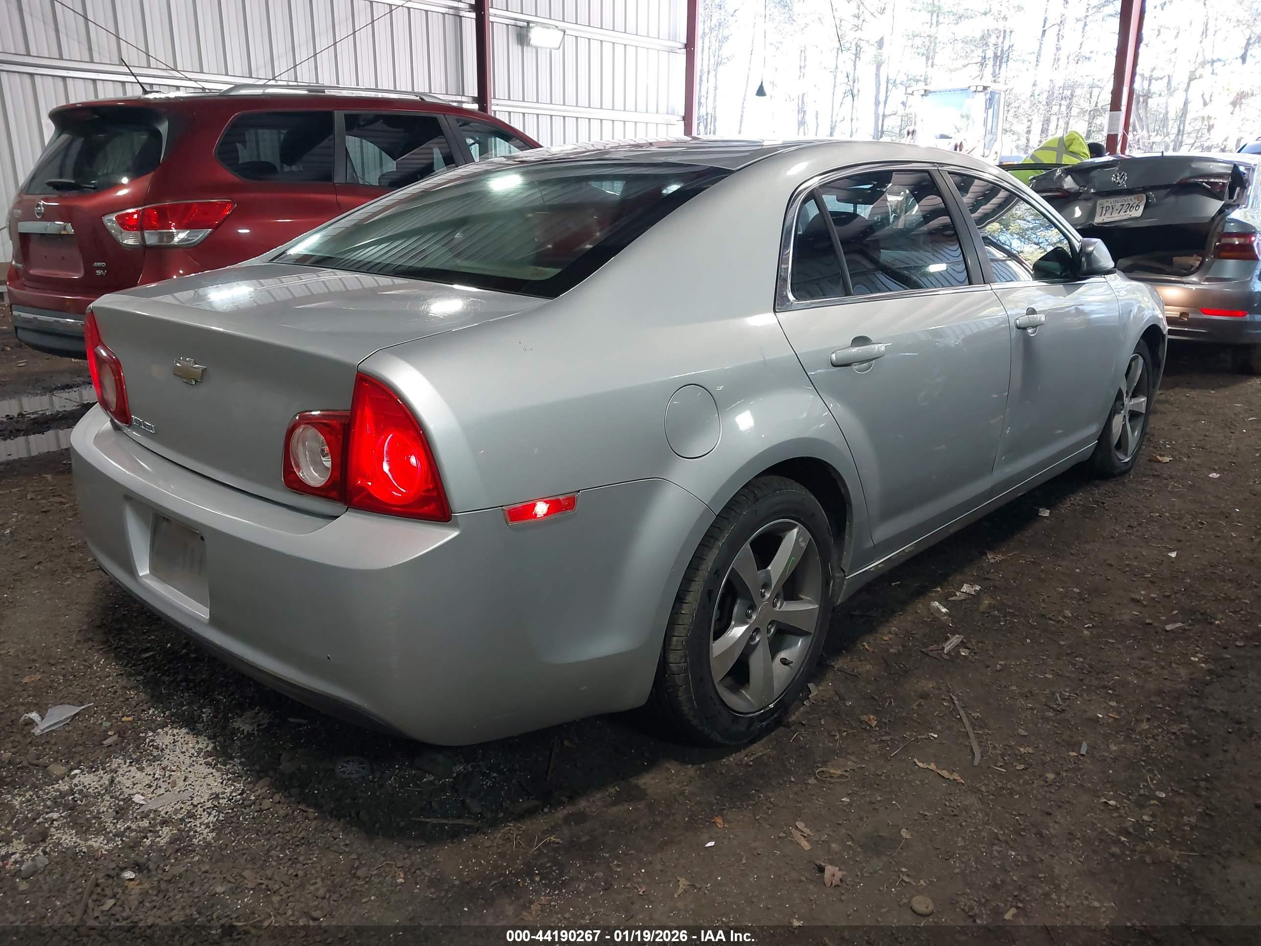 CHEVROLET MALIBU image 4