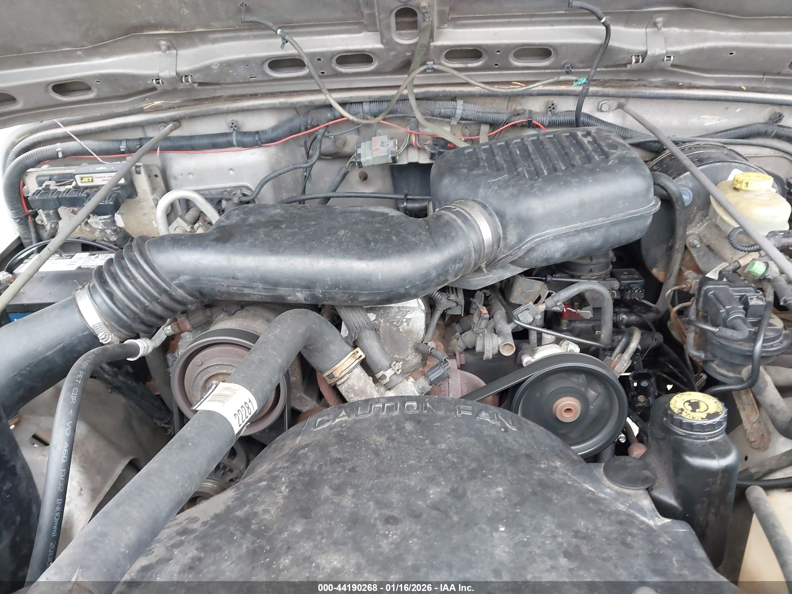 JEEP WRANGLER image 10