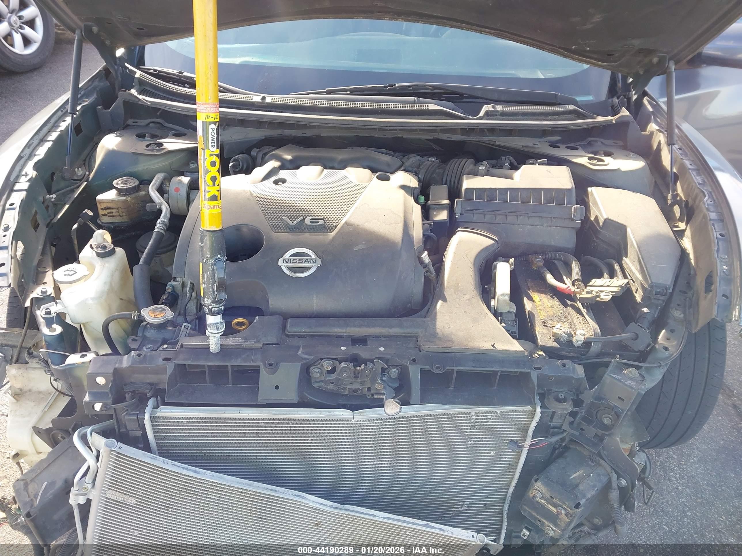 NISSAN MAXIMA image 10