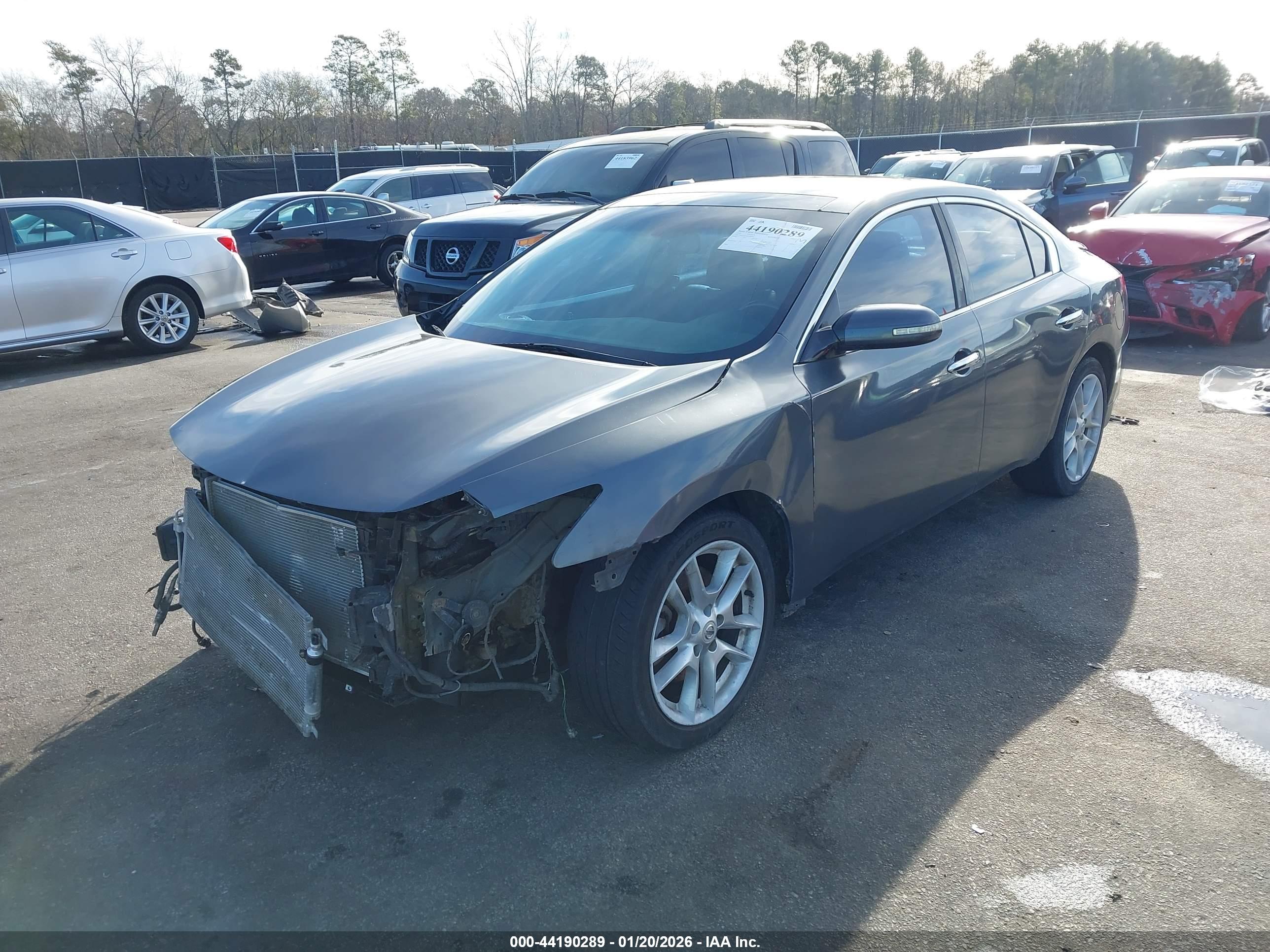 NISSAN MAXIMA image 2