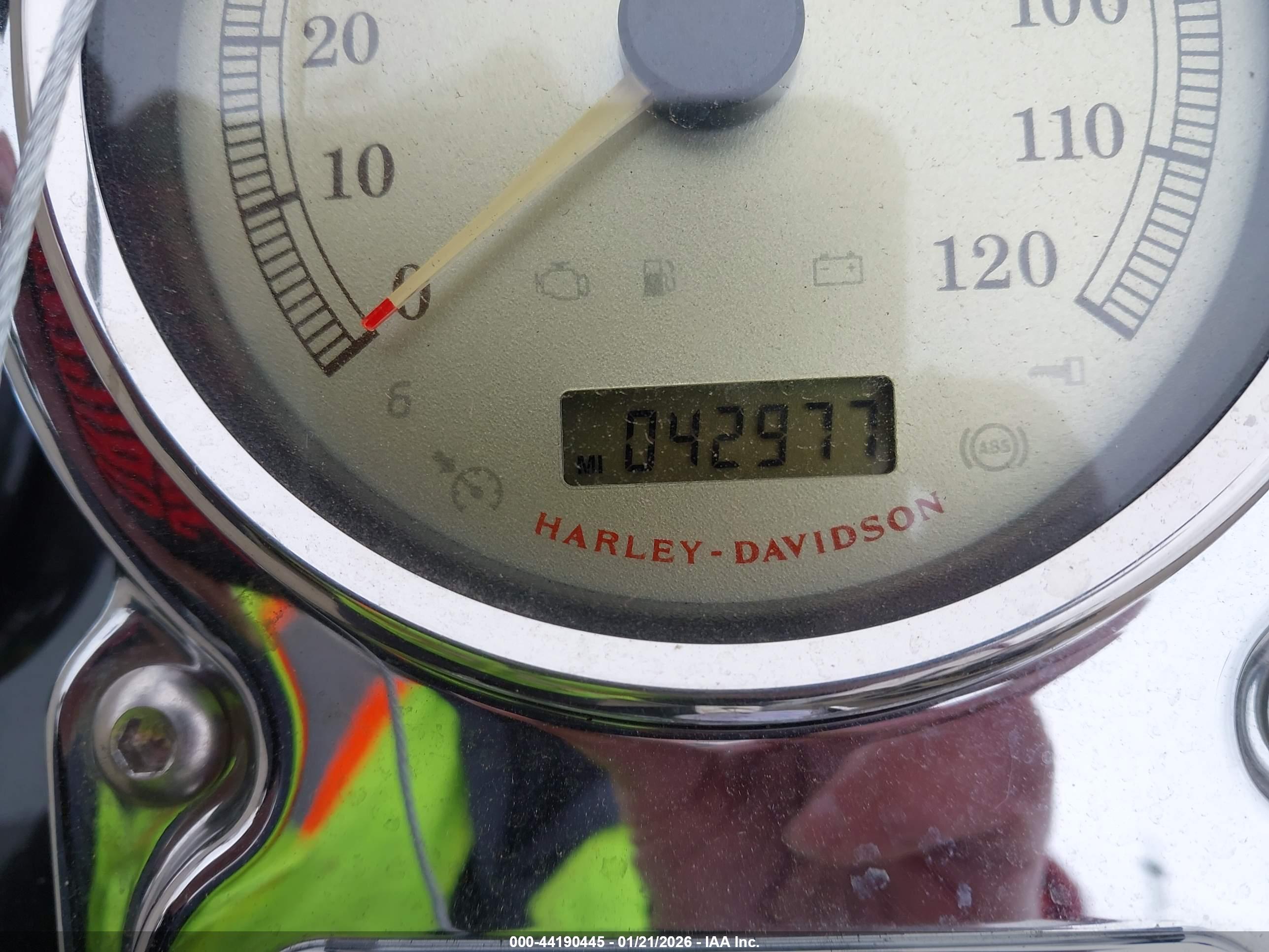 HARLEY-DAVIDSON FXDC image 7
