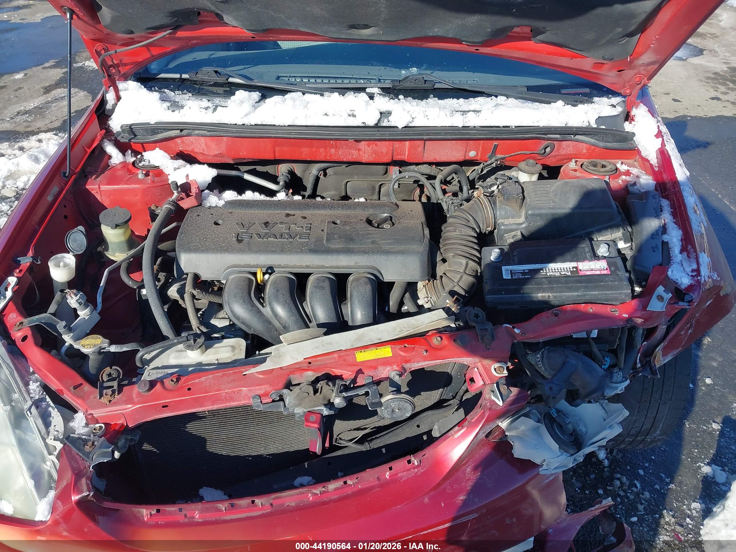 TOYOTA COROLLA image 10