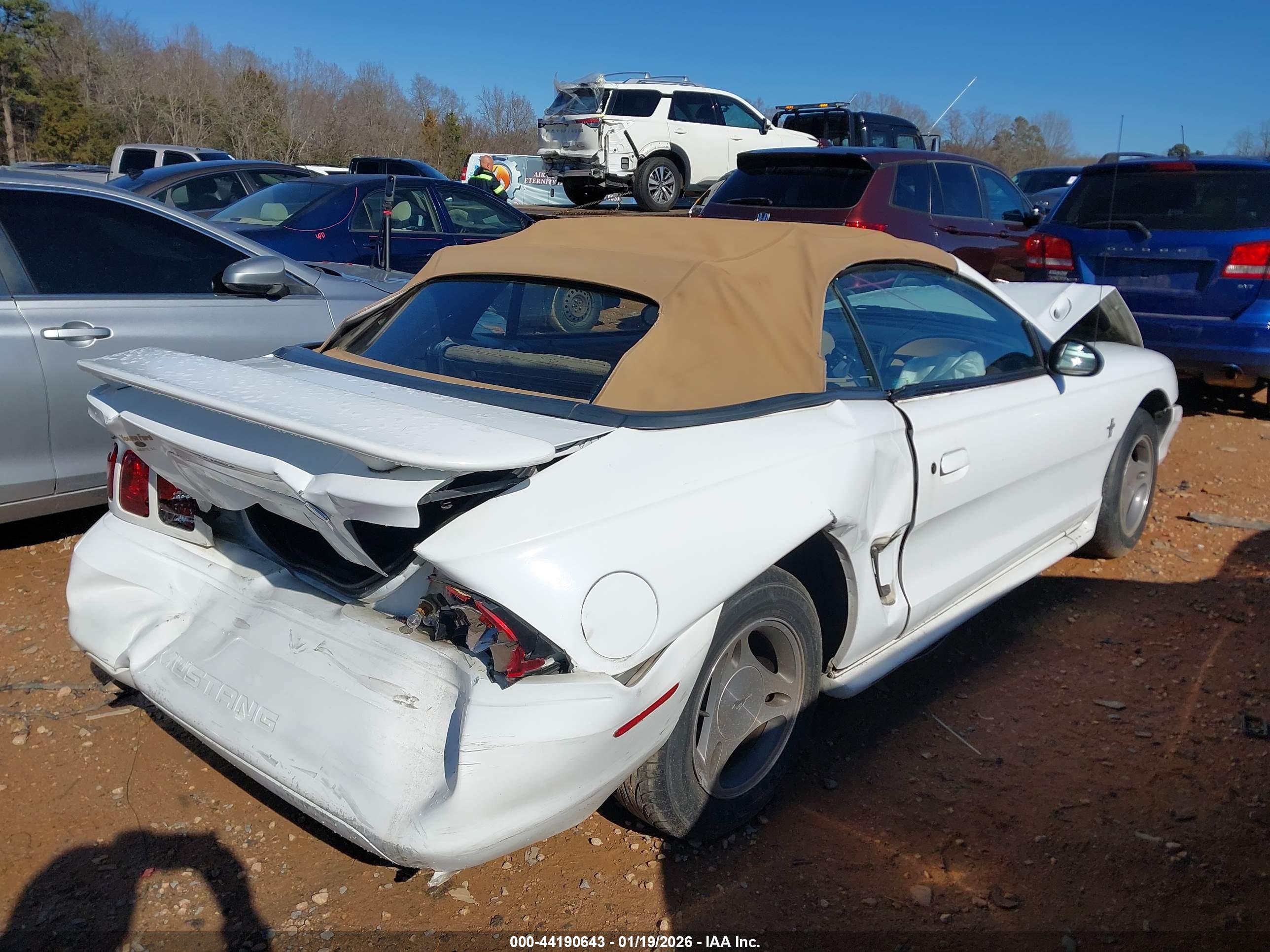 FORD MUSTANG image 4