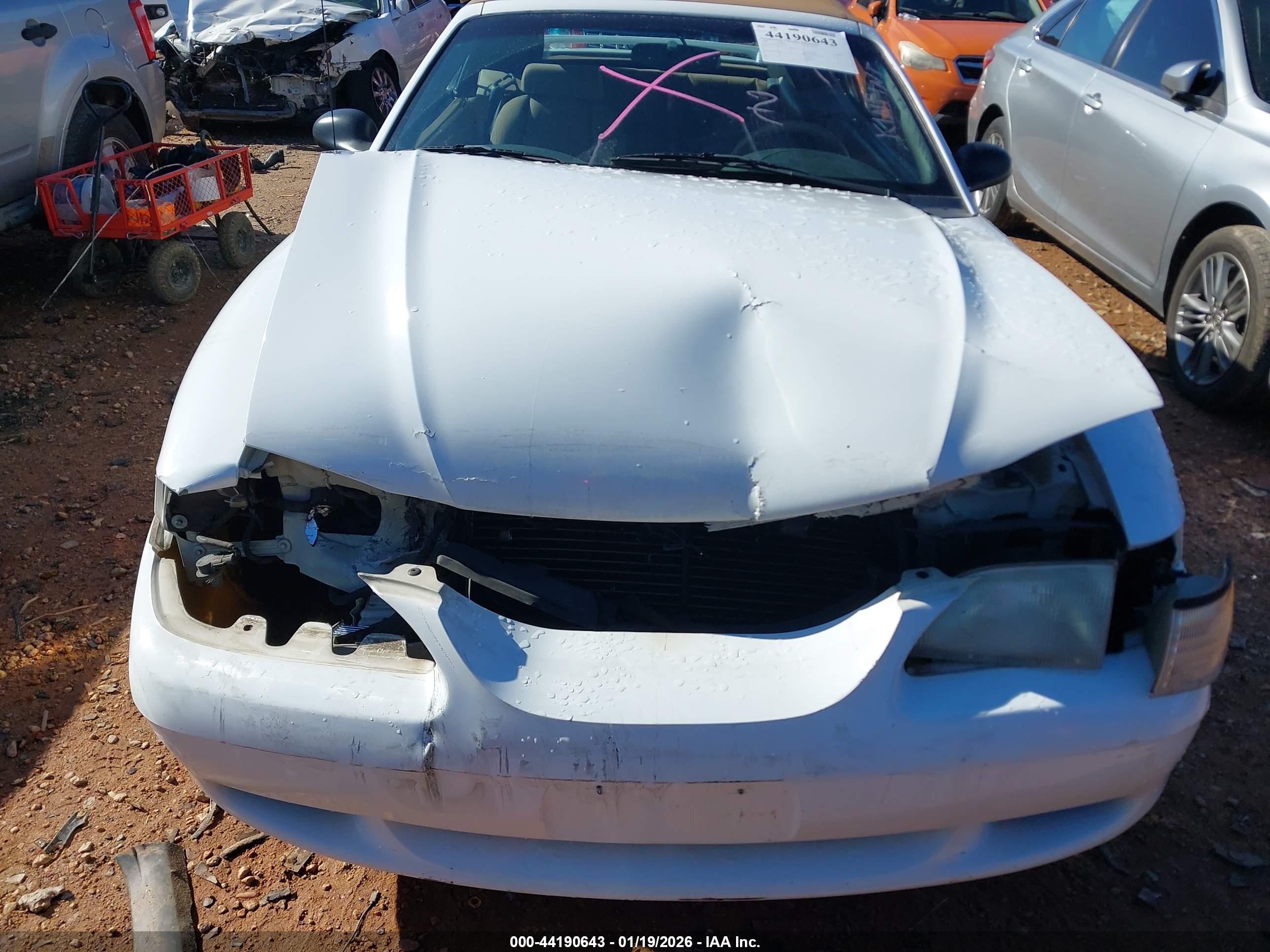 FORD MUSTANG image 6