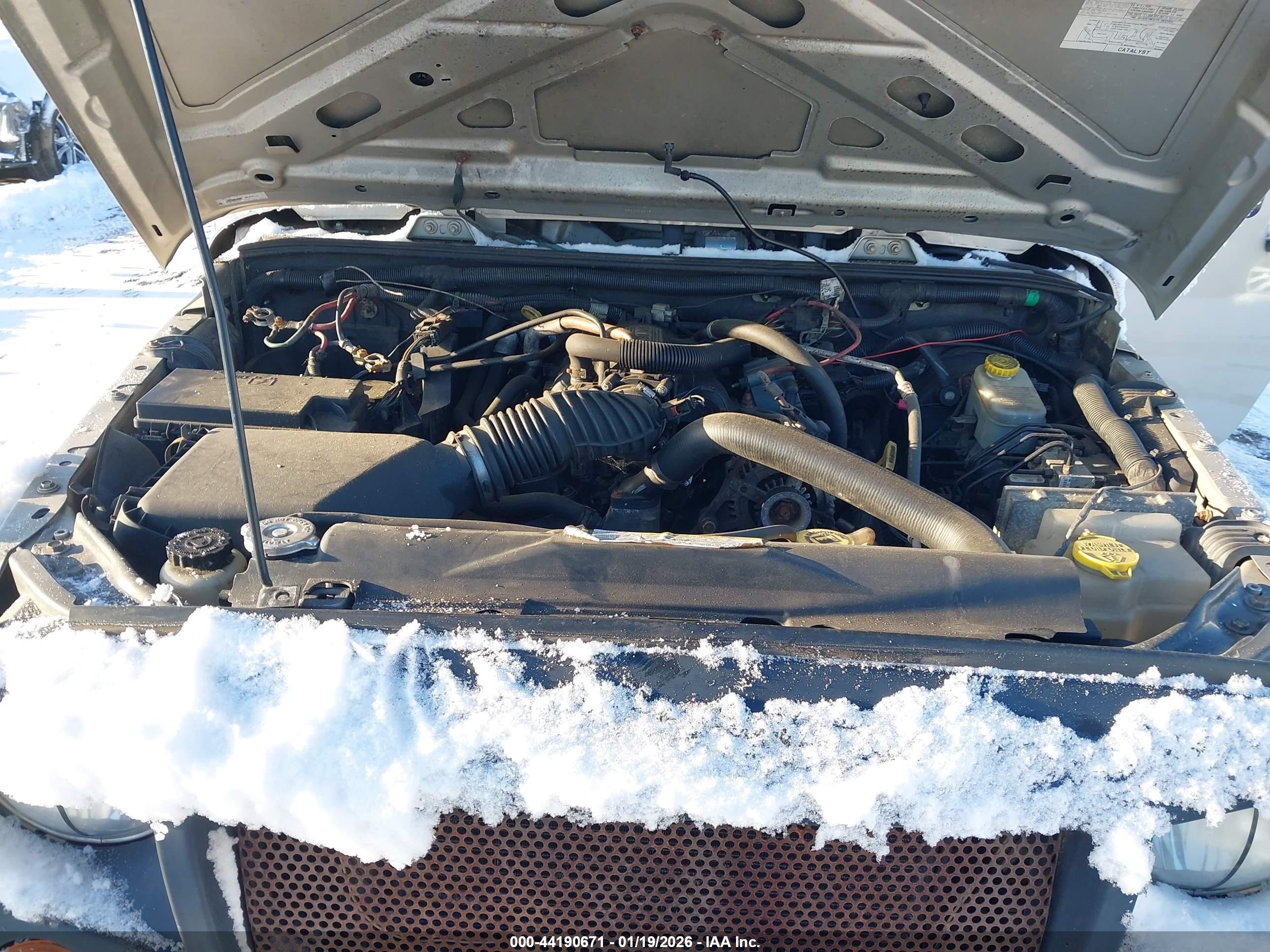 JEEP WRANGLER image 10