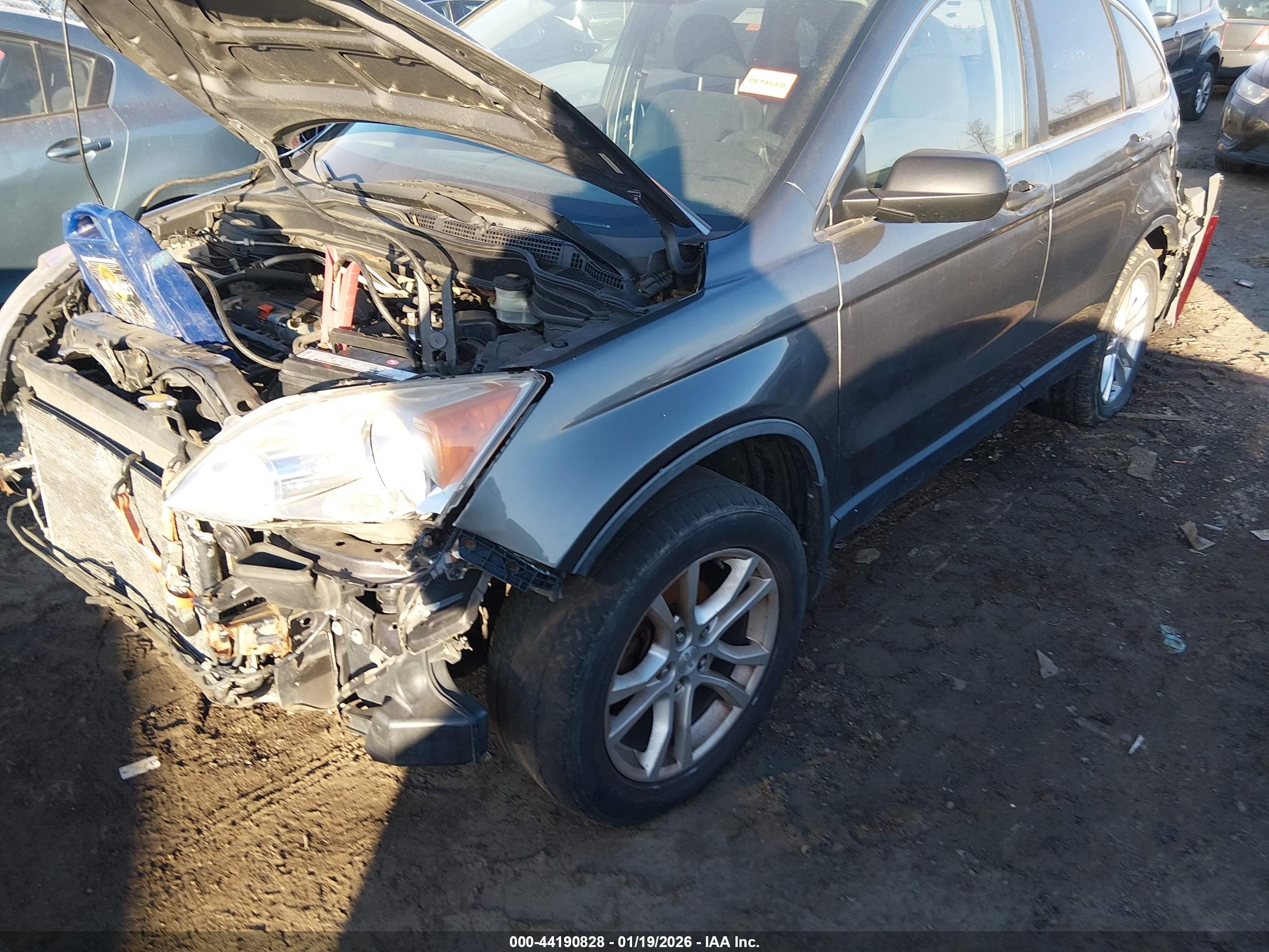 HONDA CR-V image 2