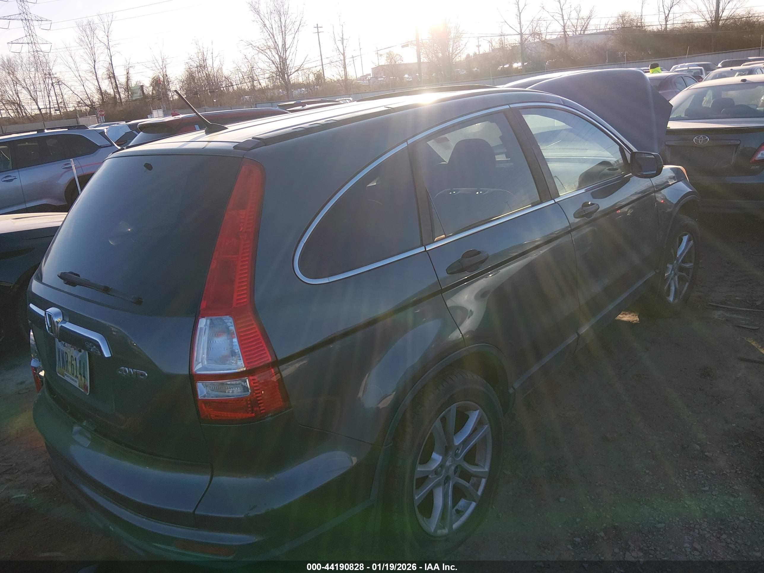 HONDA CR-V image 4
