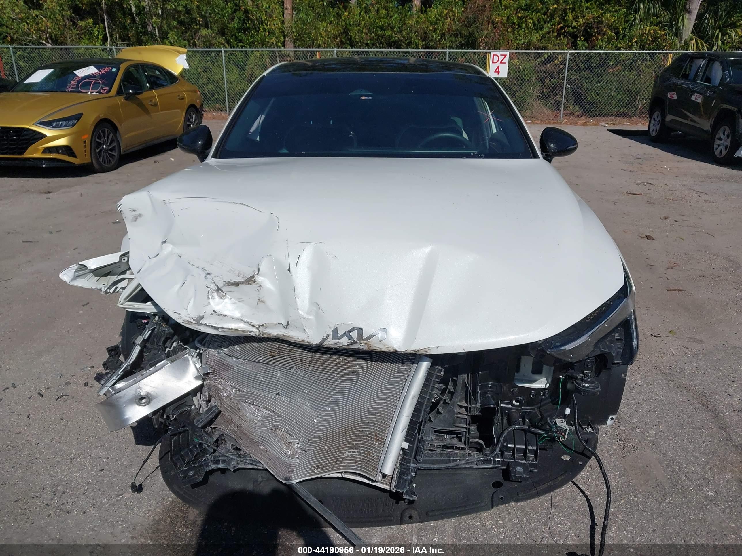 KIA K5 image 6