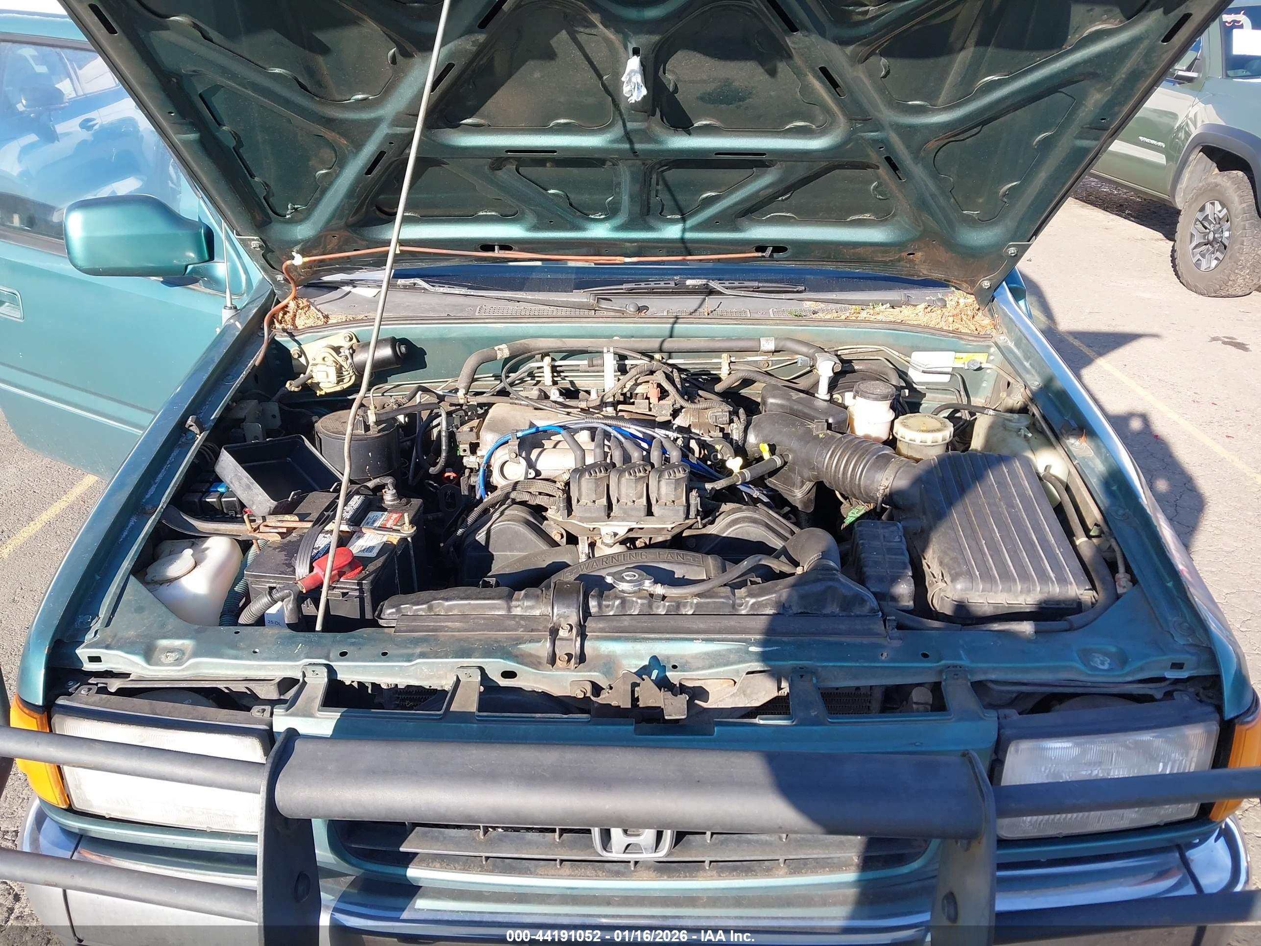 HONDA PASSPORT image 10