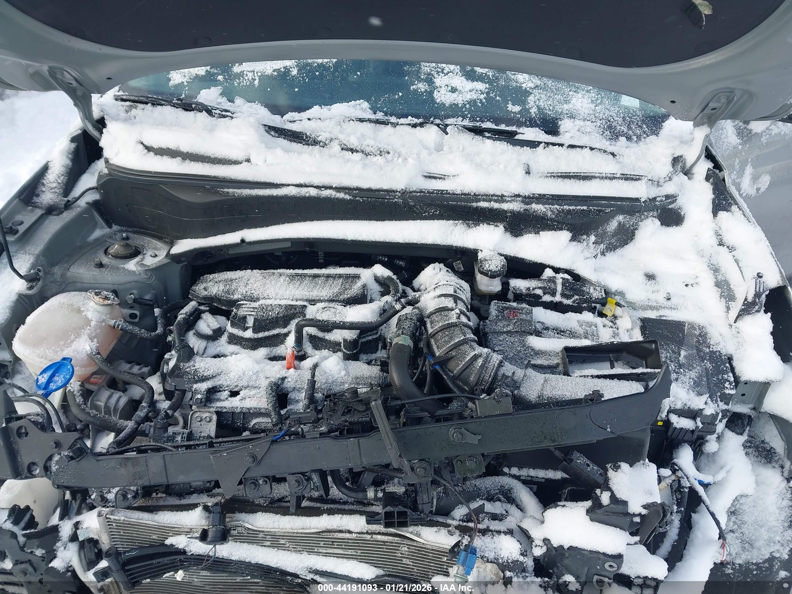 KIA SELTOS image 10