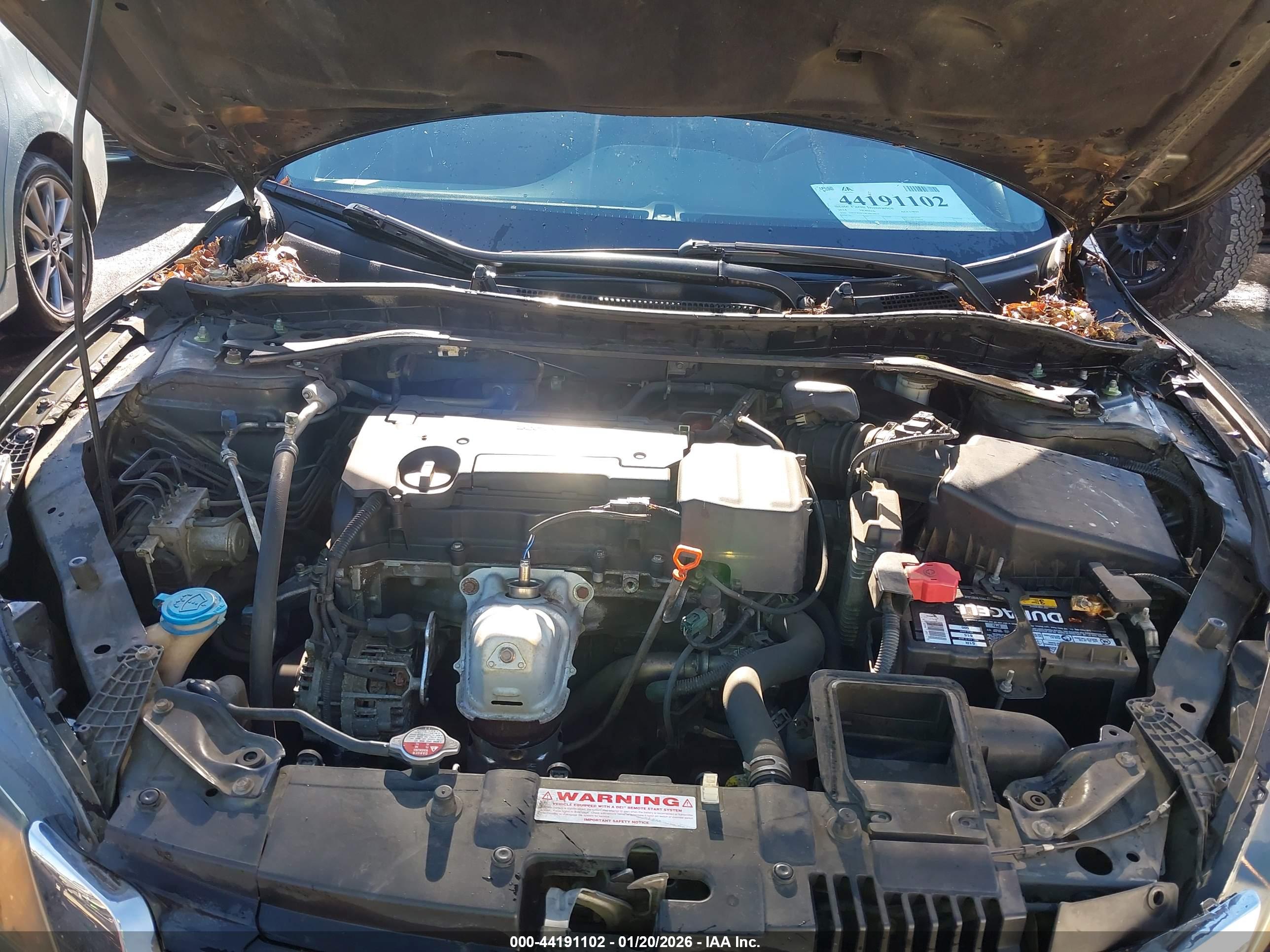 HONDA ACCORD image 10