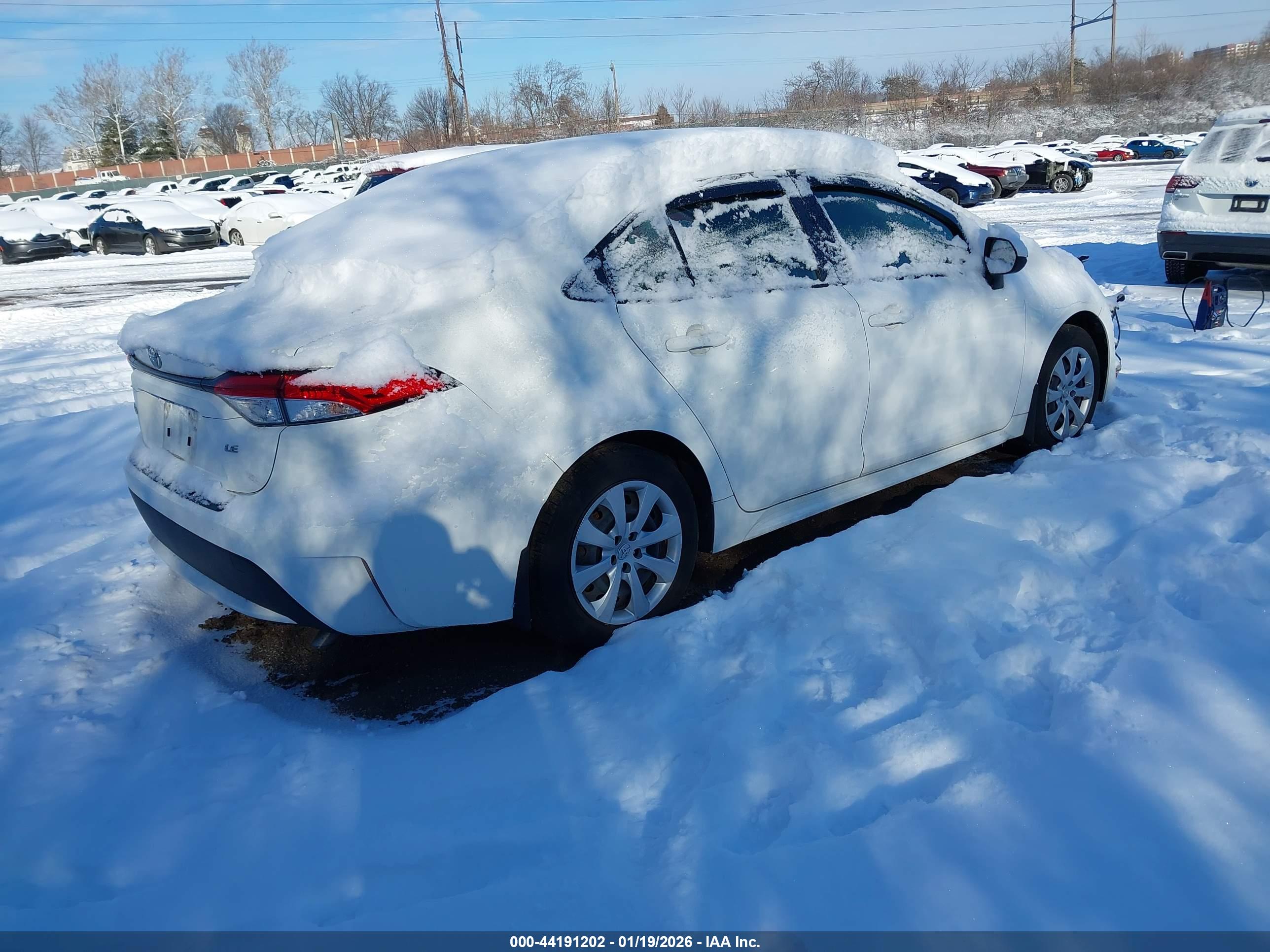 TOYOTA COROLLA image 4