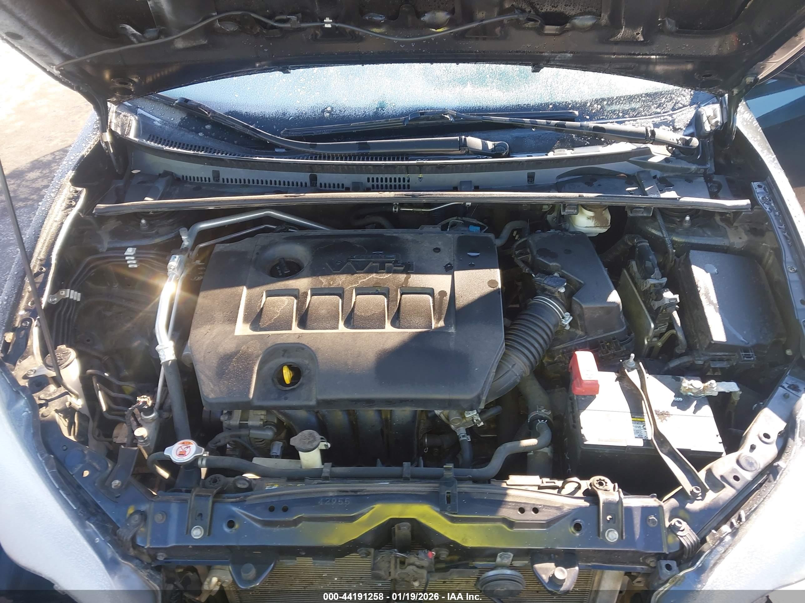 TOYOTA COROLLA image 10