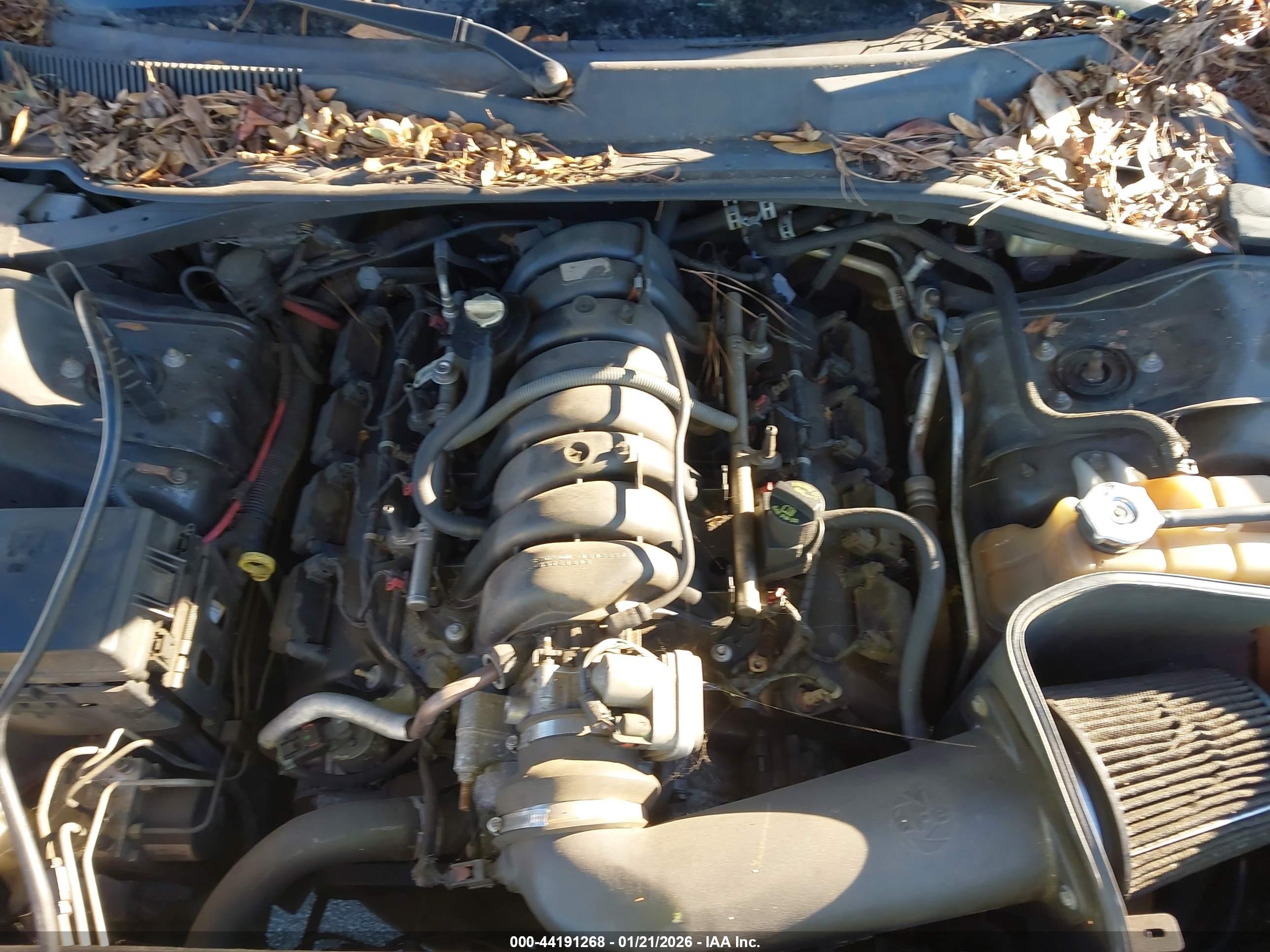 DODGE CHARGER image 10