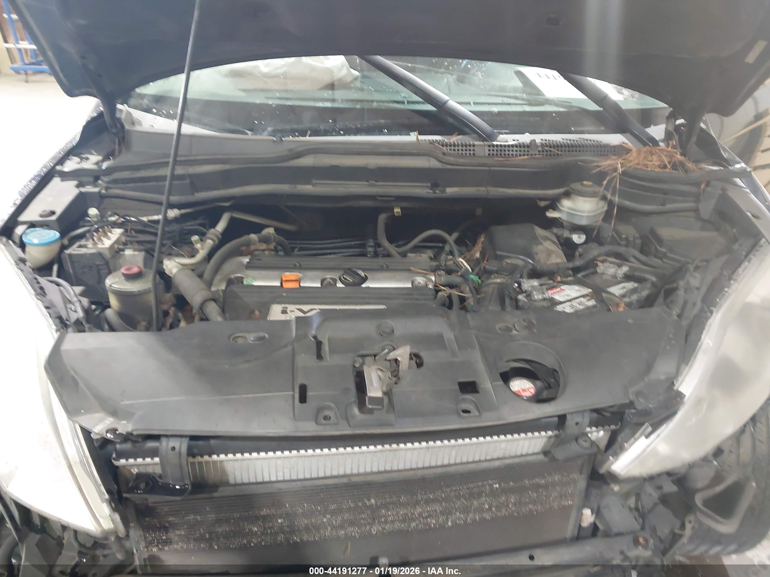 HONDA CR-V image 10