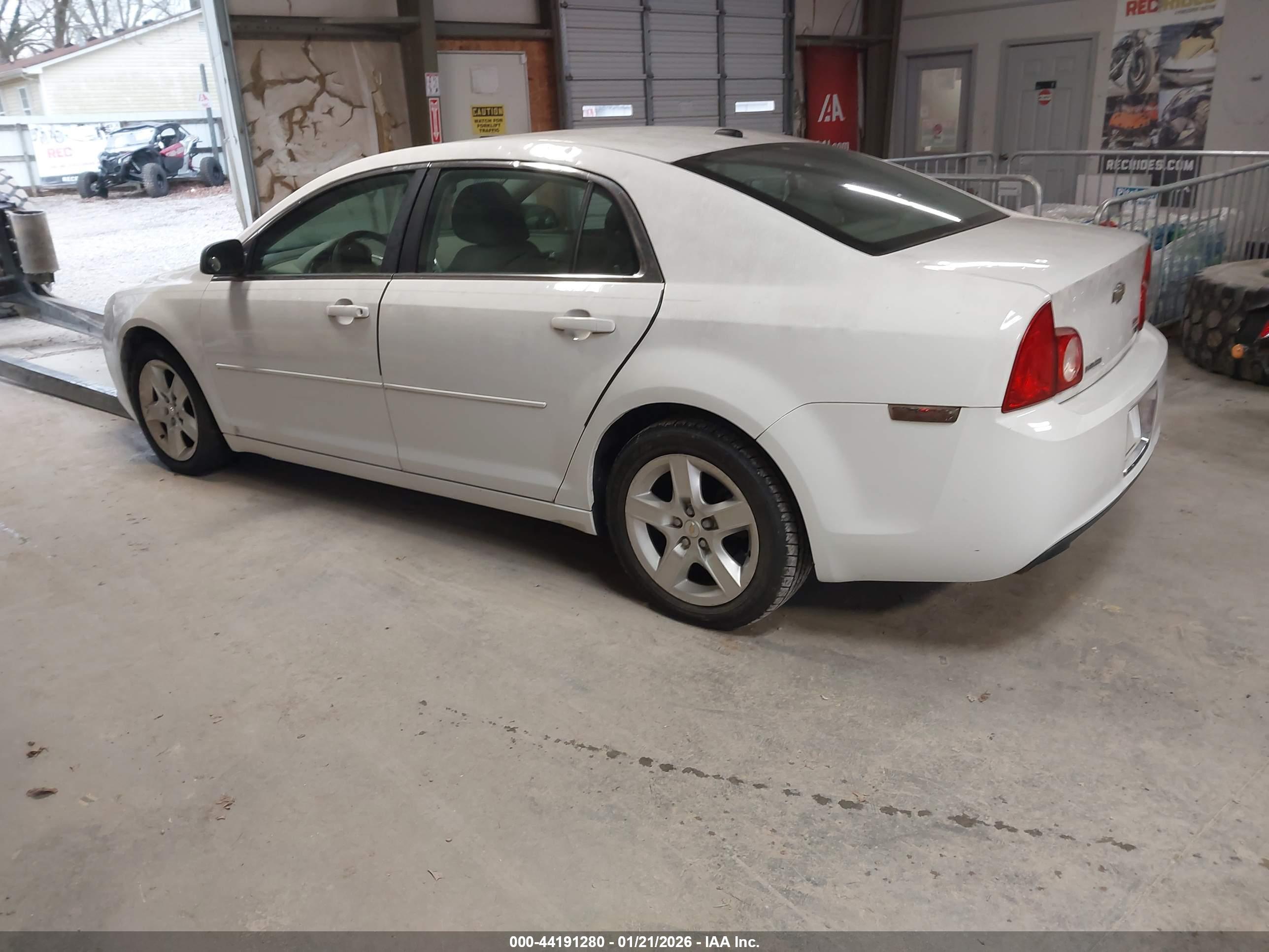 CHEVROLET MALIBU image 3