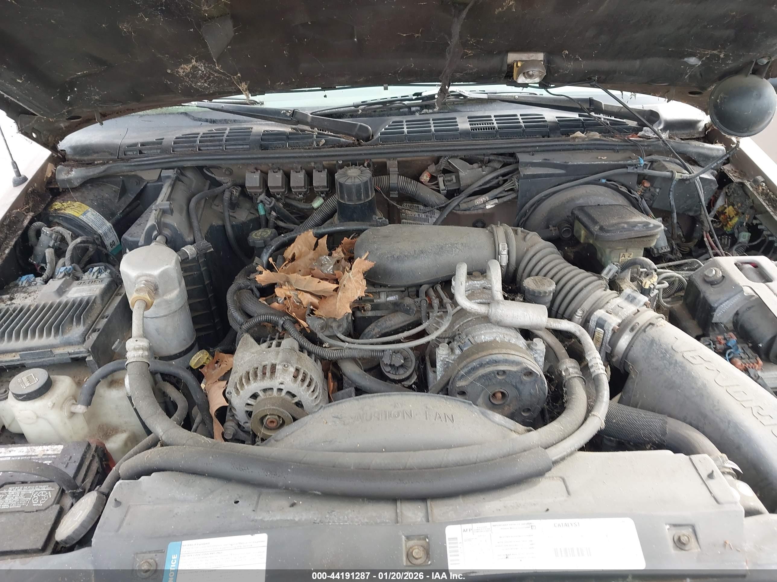 CHEVROLET S-10 image 10