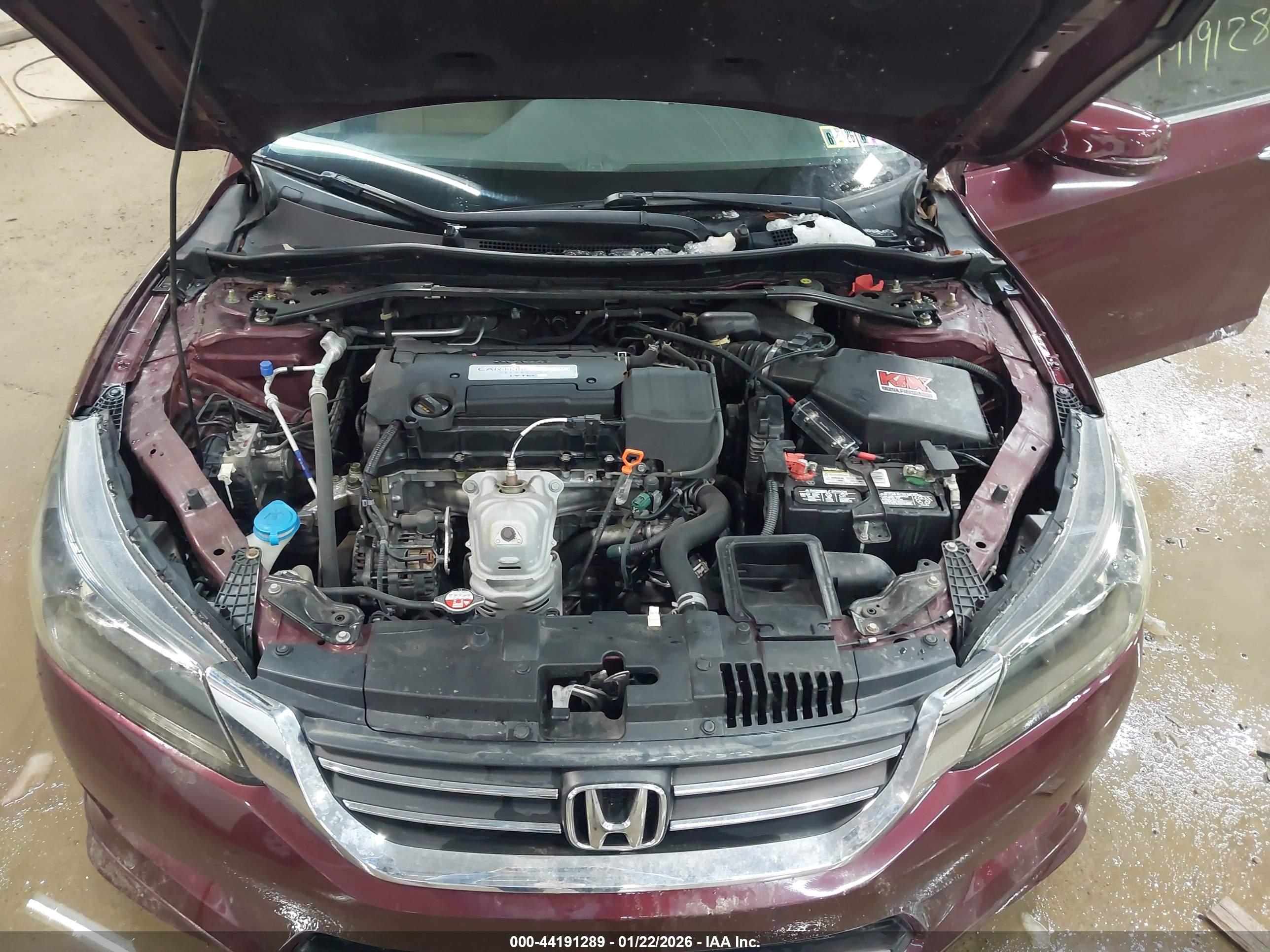 HONDA ACCORD image 10