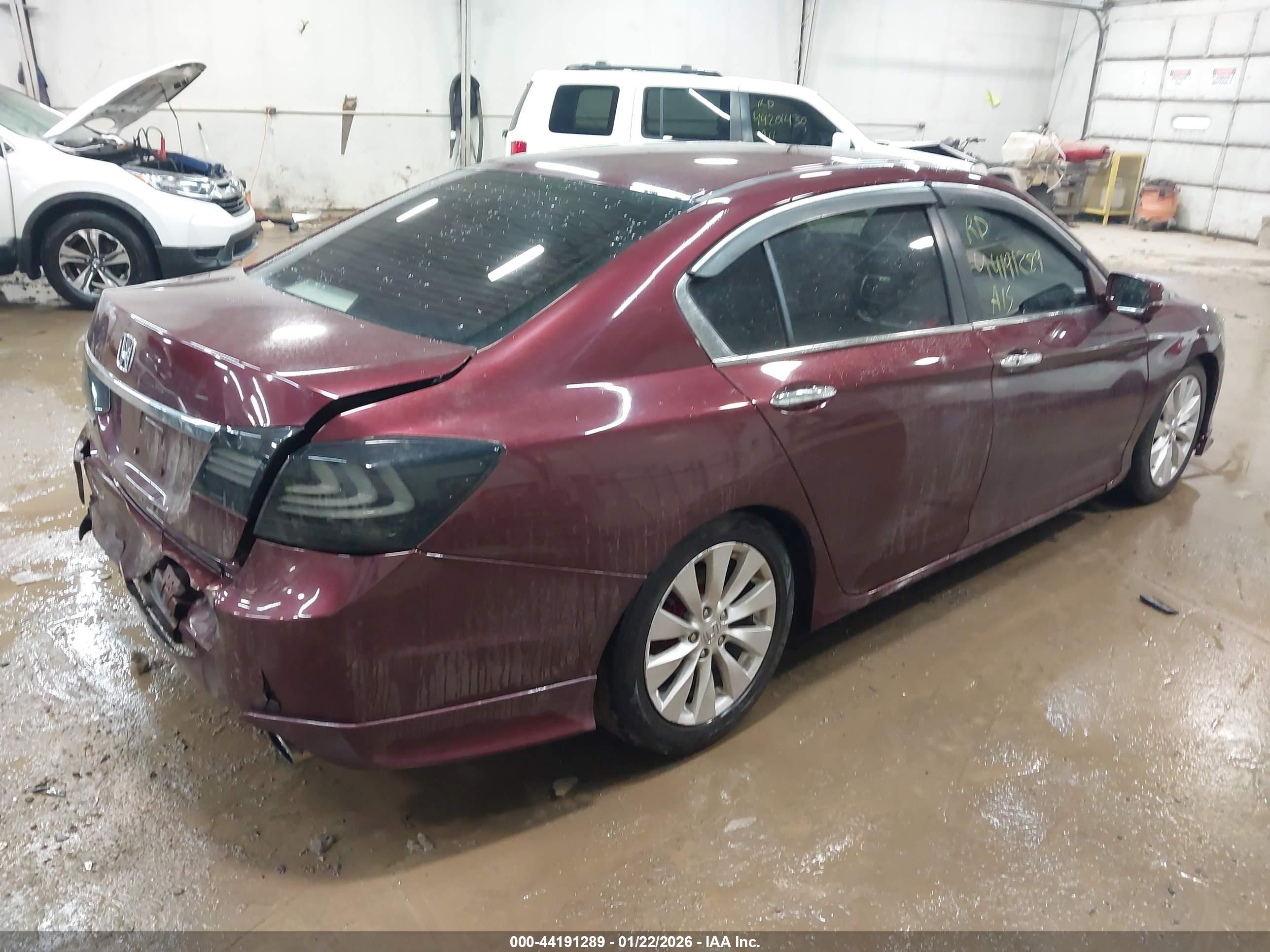 HONDA ACCORD image 4
