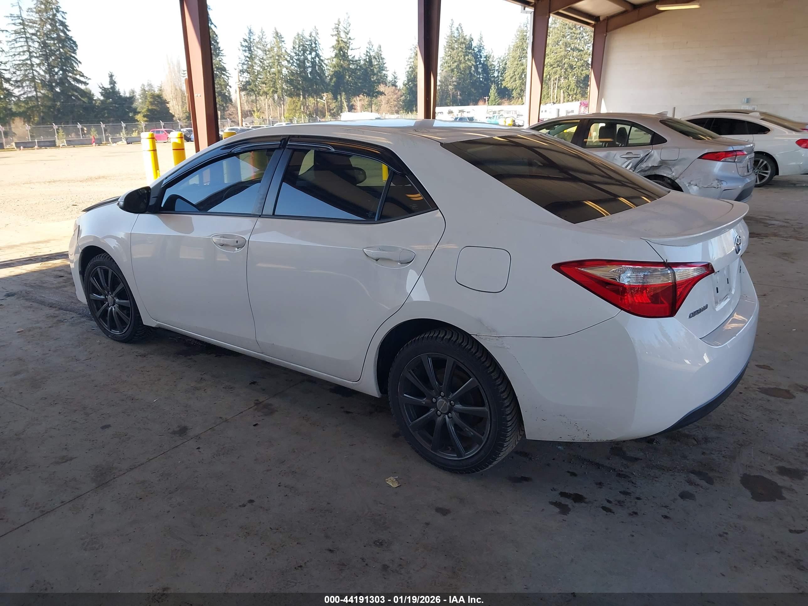 TOYOTA COROLLA image 3