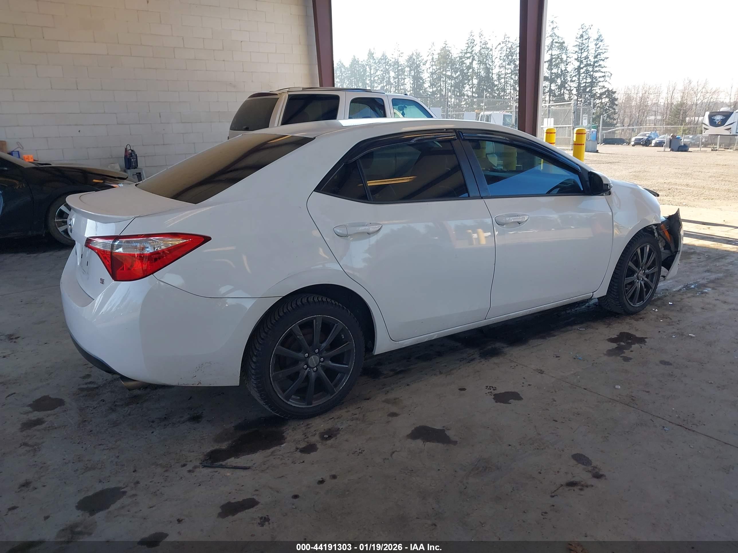 TOYOTA COROLLA image 4
