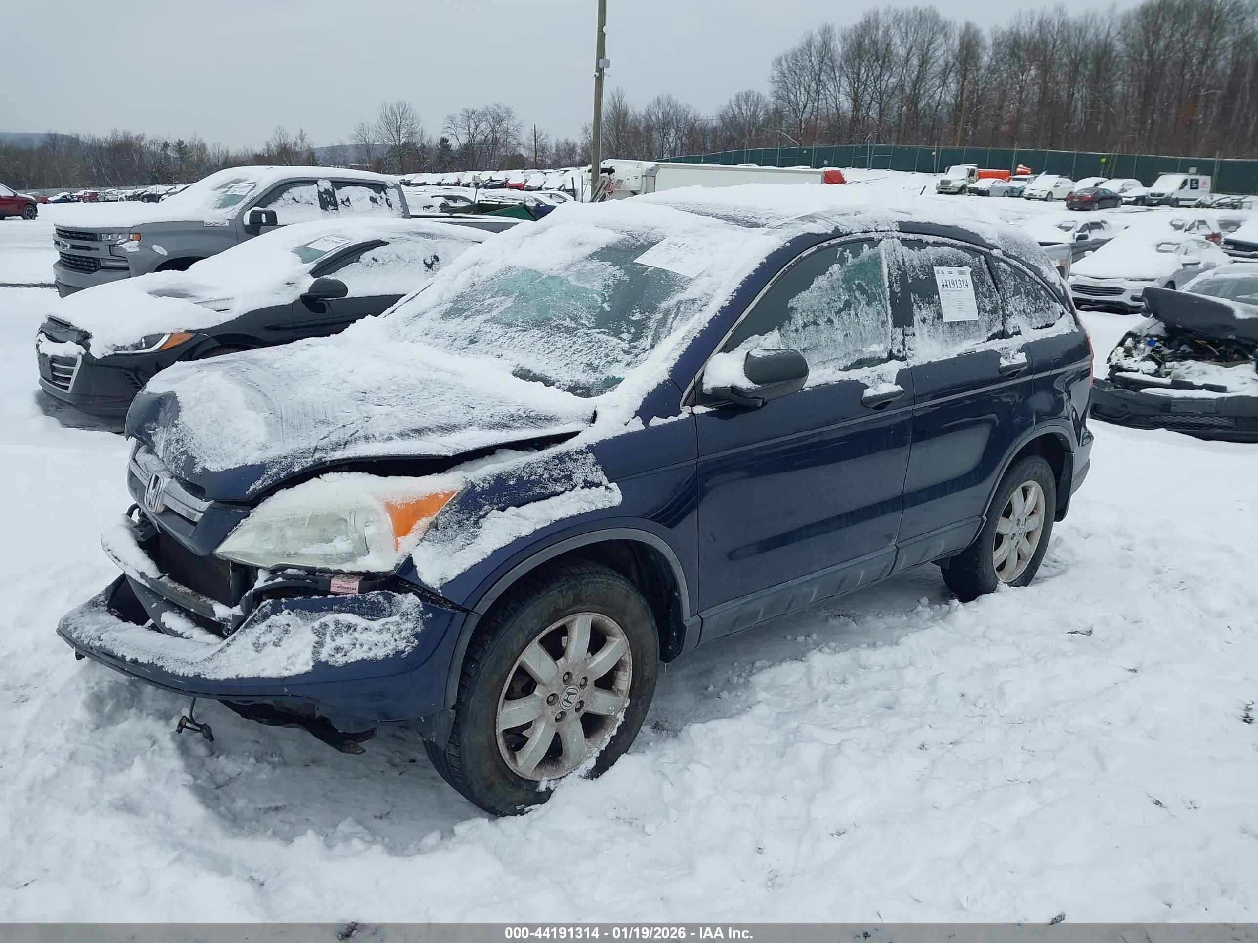 HONDA CR-V image 2