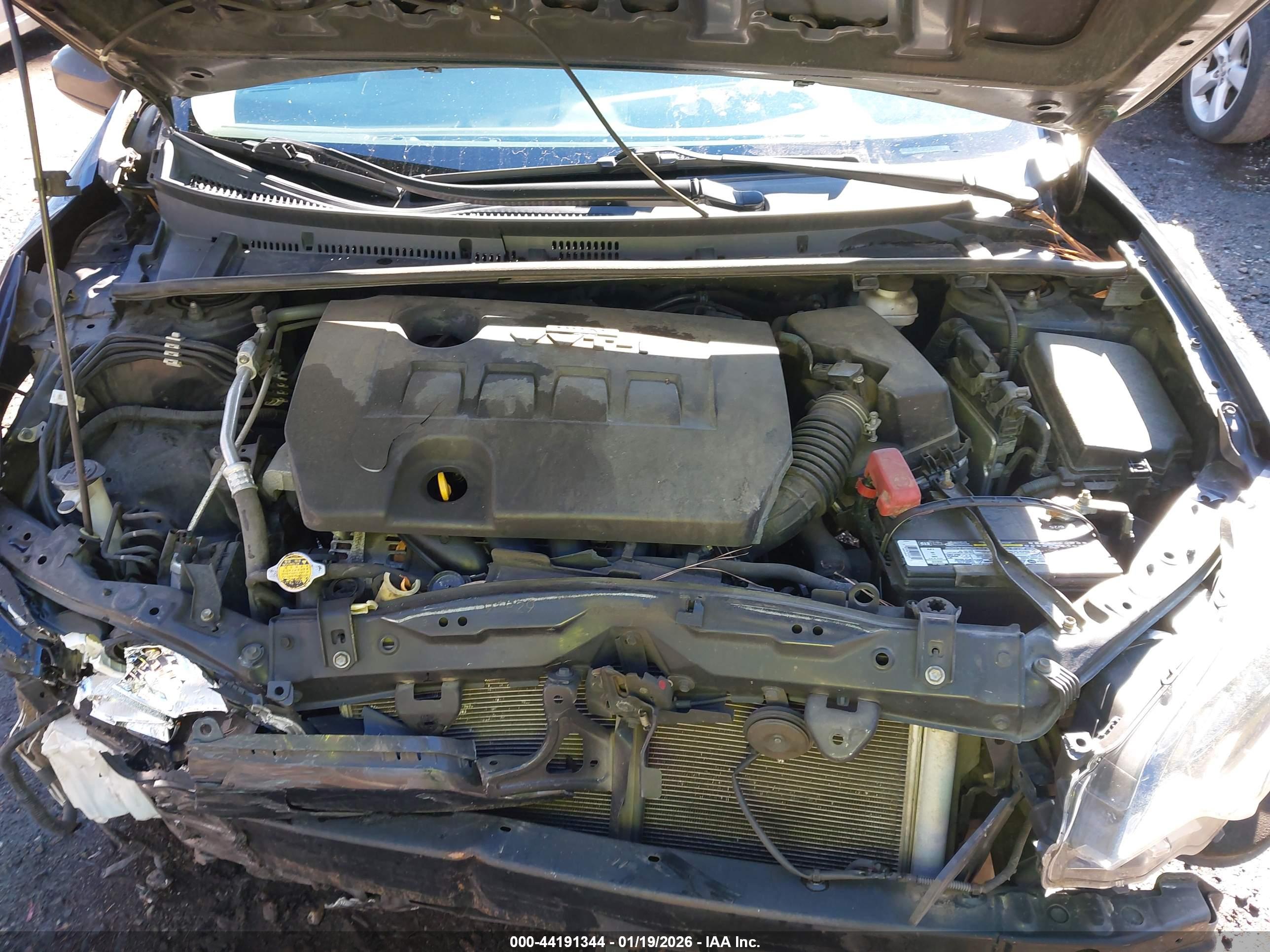 TOYOTA COROLLA image 10
