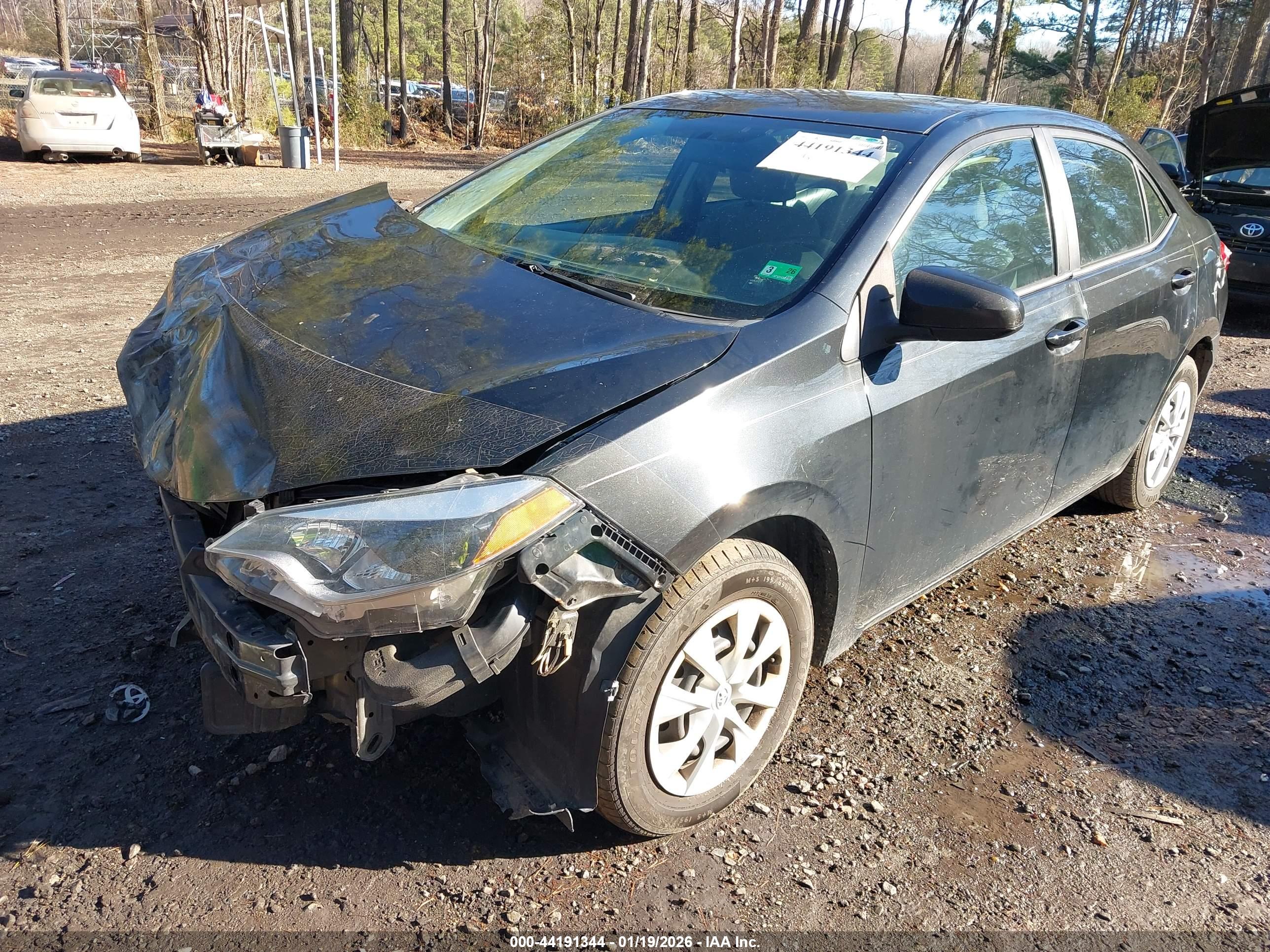 TOYOTA COROLLA image 2