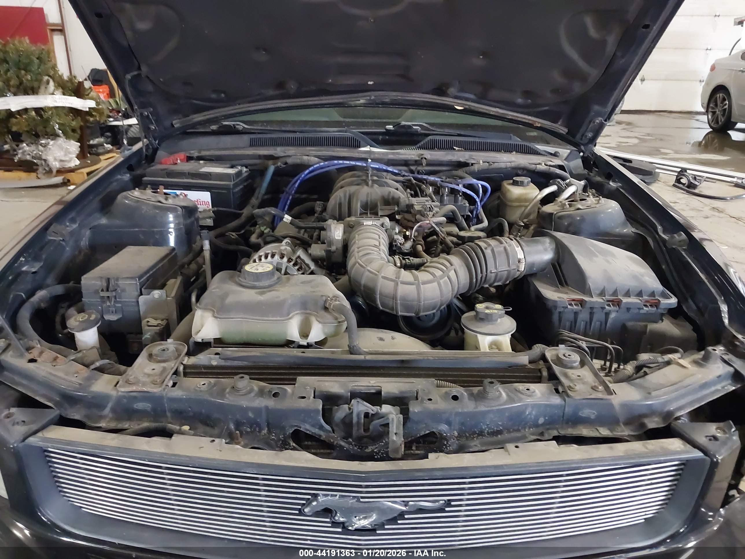 FORD MUSTANG image 10