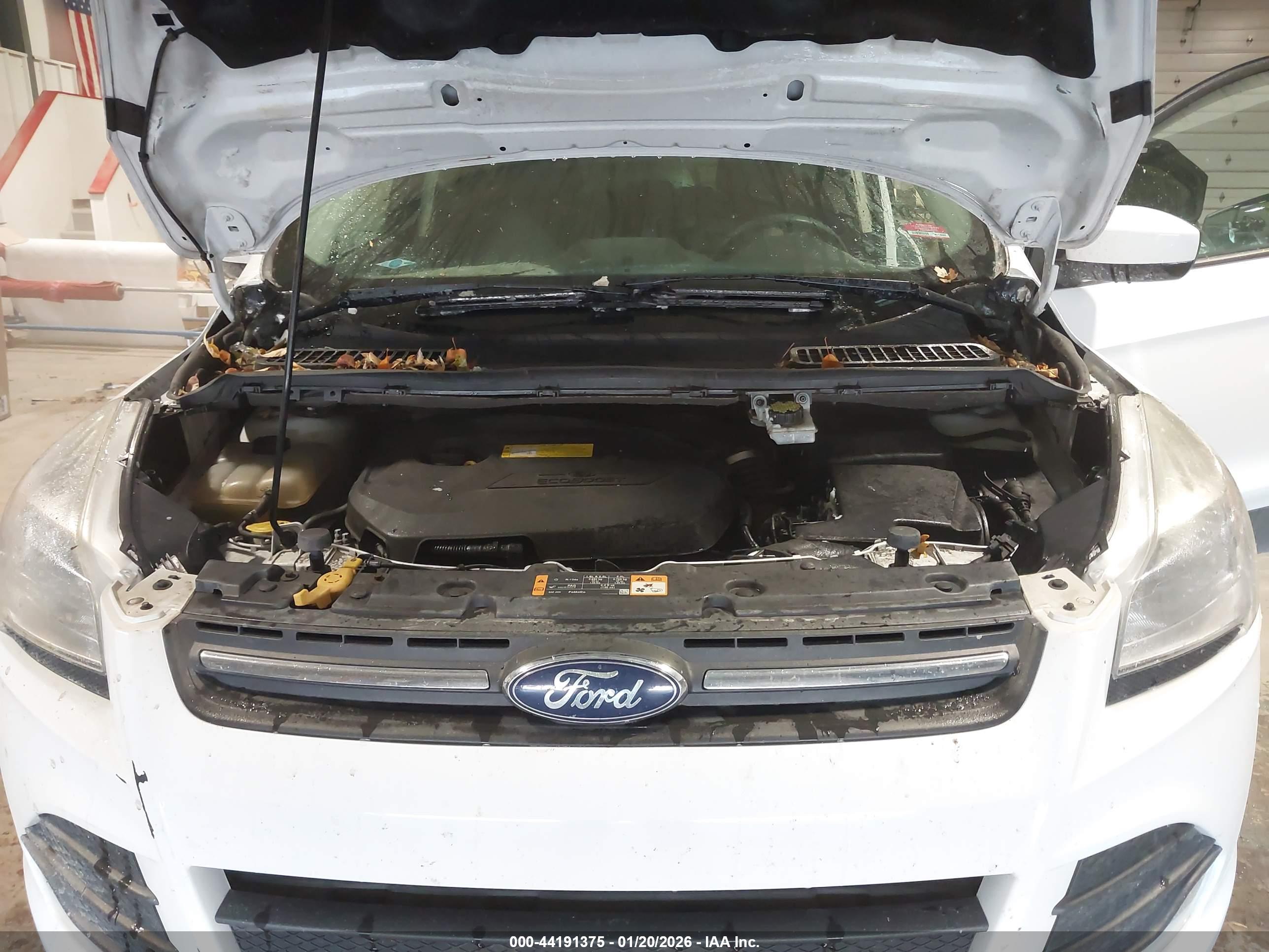 FORD ESCAPE image 10