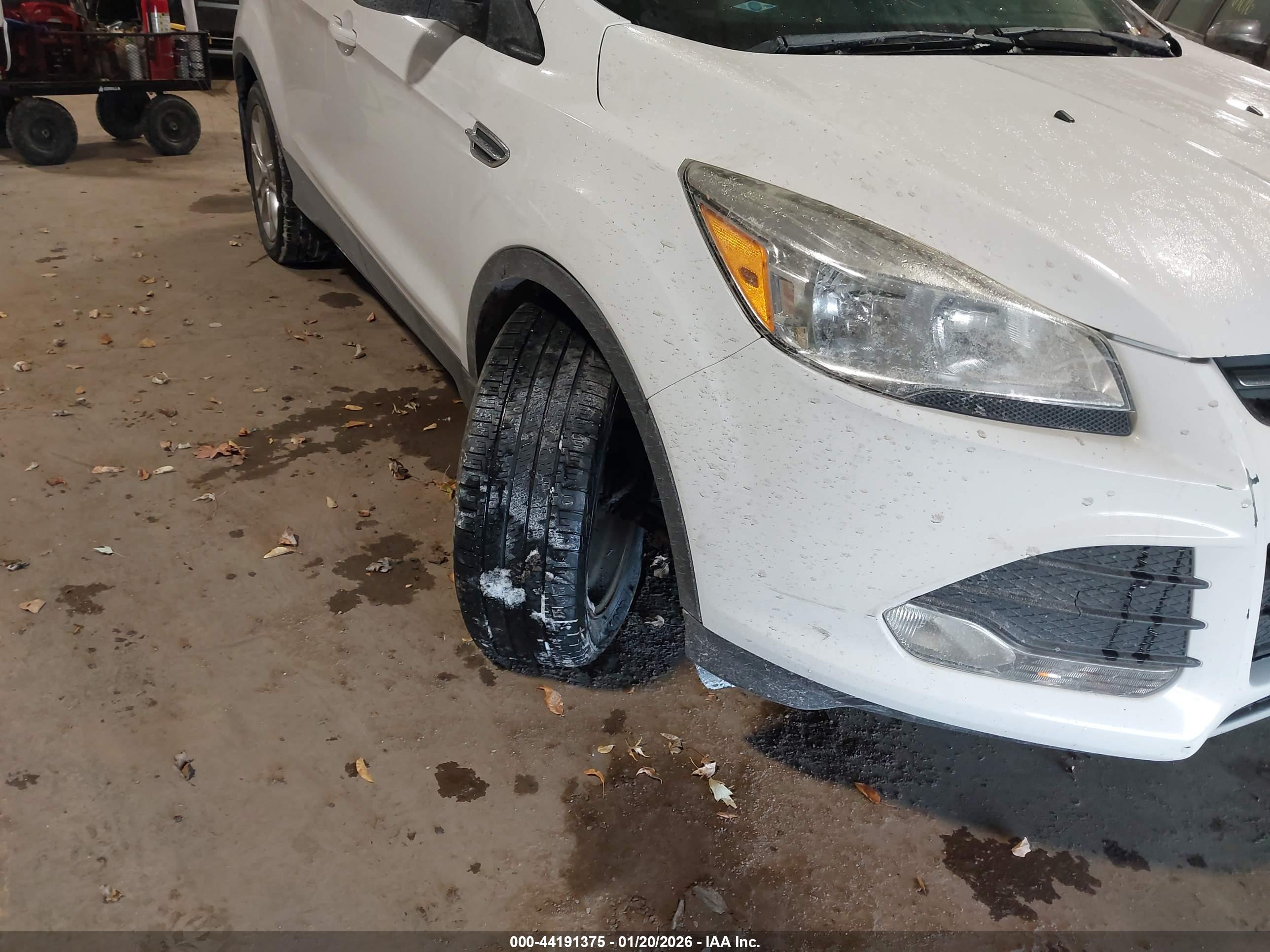 FORD ESCAPE image 6