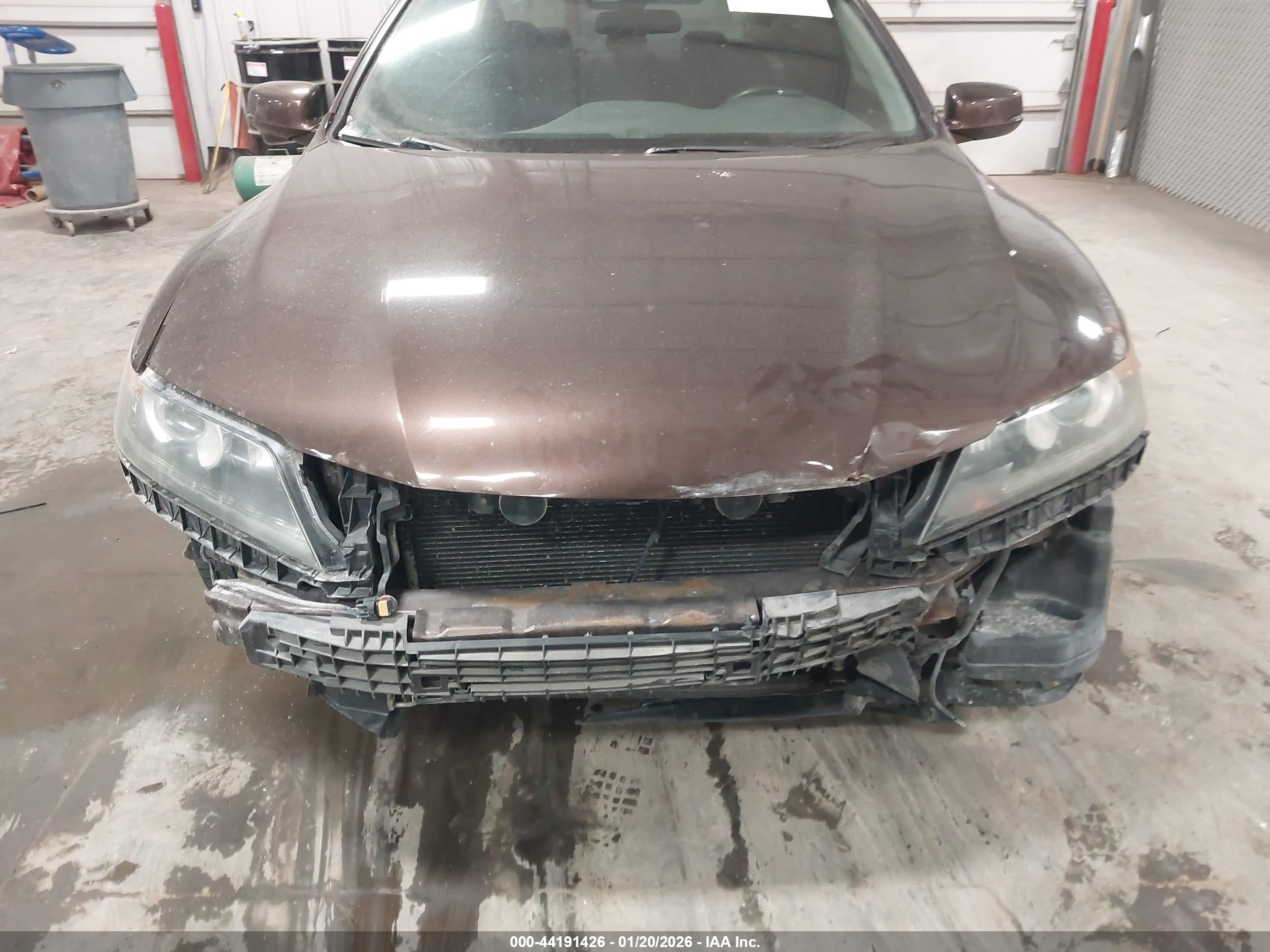 HONDA ACCORD image 6